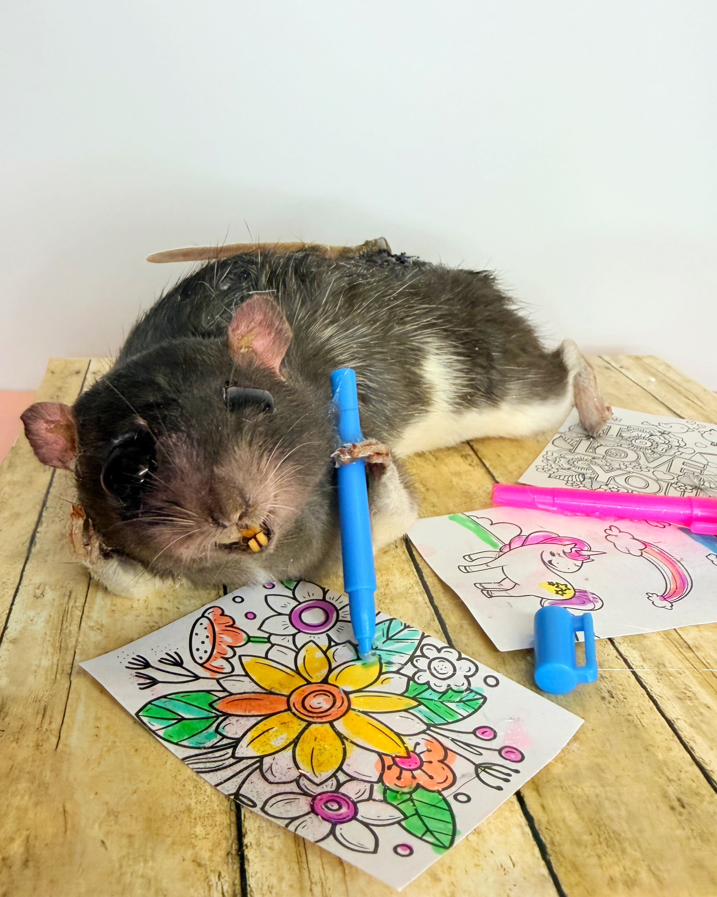 Elizabeth Loves to Draw - Rattie 2