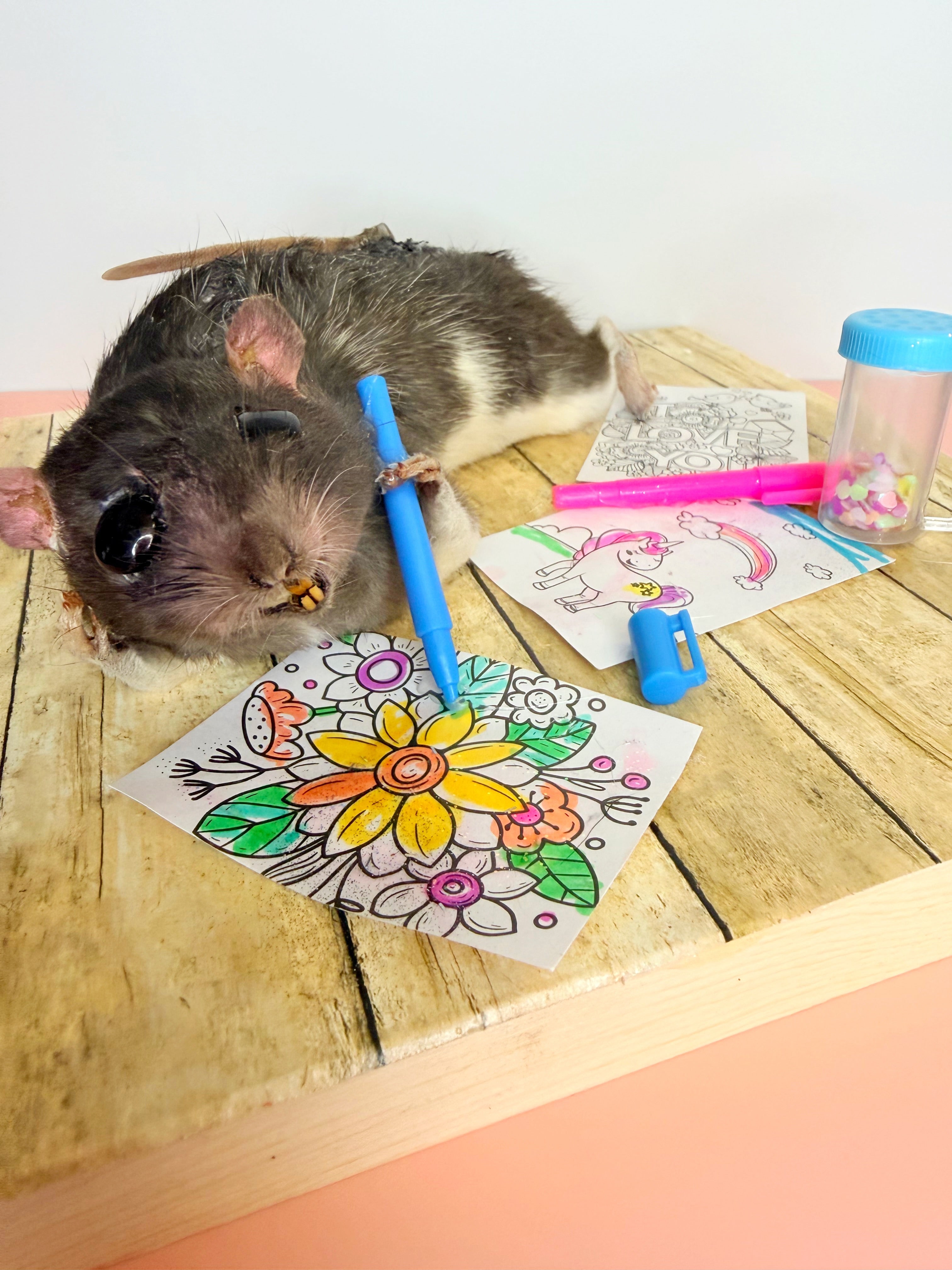 Elizabeth Loves to Draw - Rattie 2