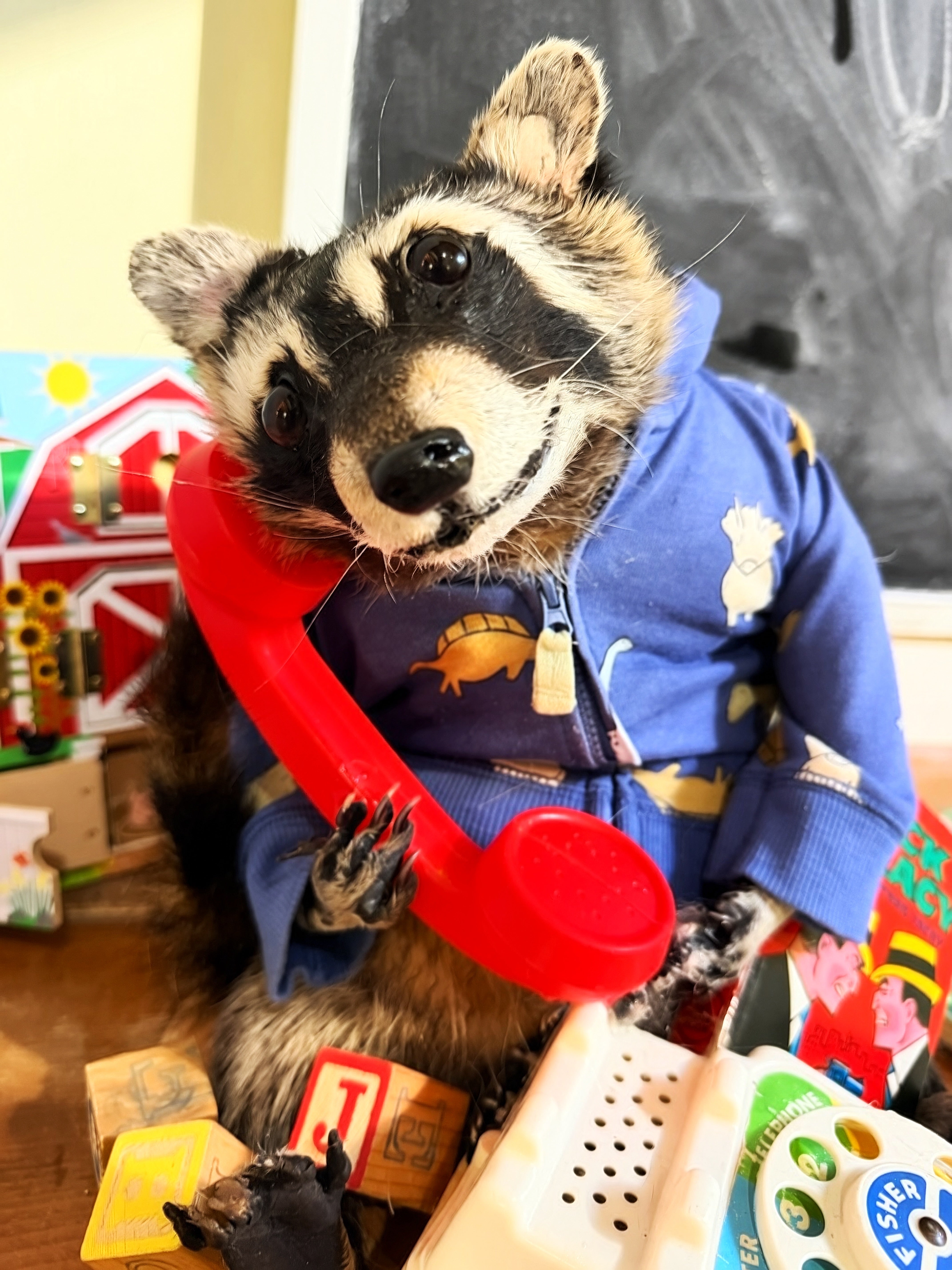 Pickles the Raccoon with Mid Century Vintage Toys