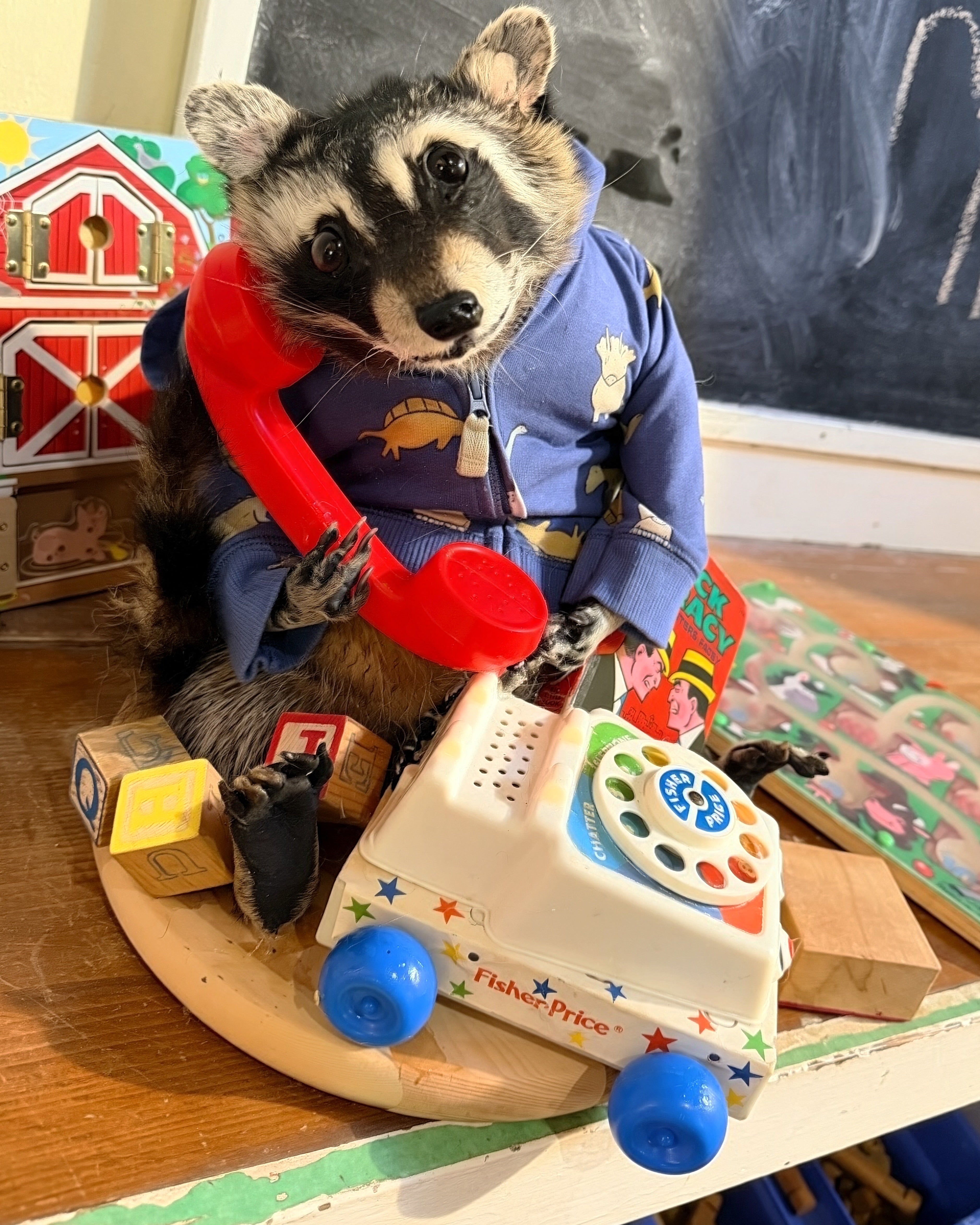 Pickles the Raccoon with Mid Century Vintage Toys