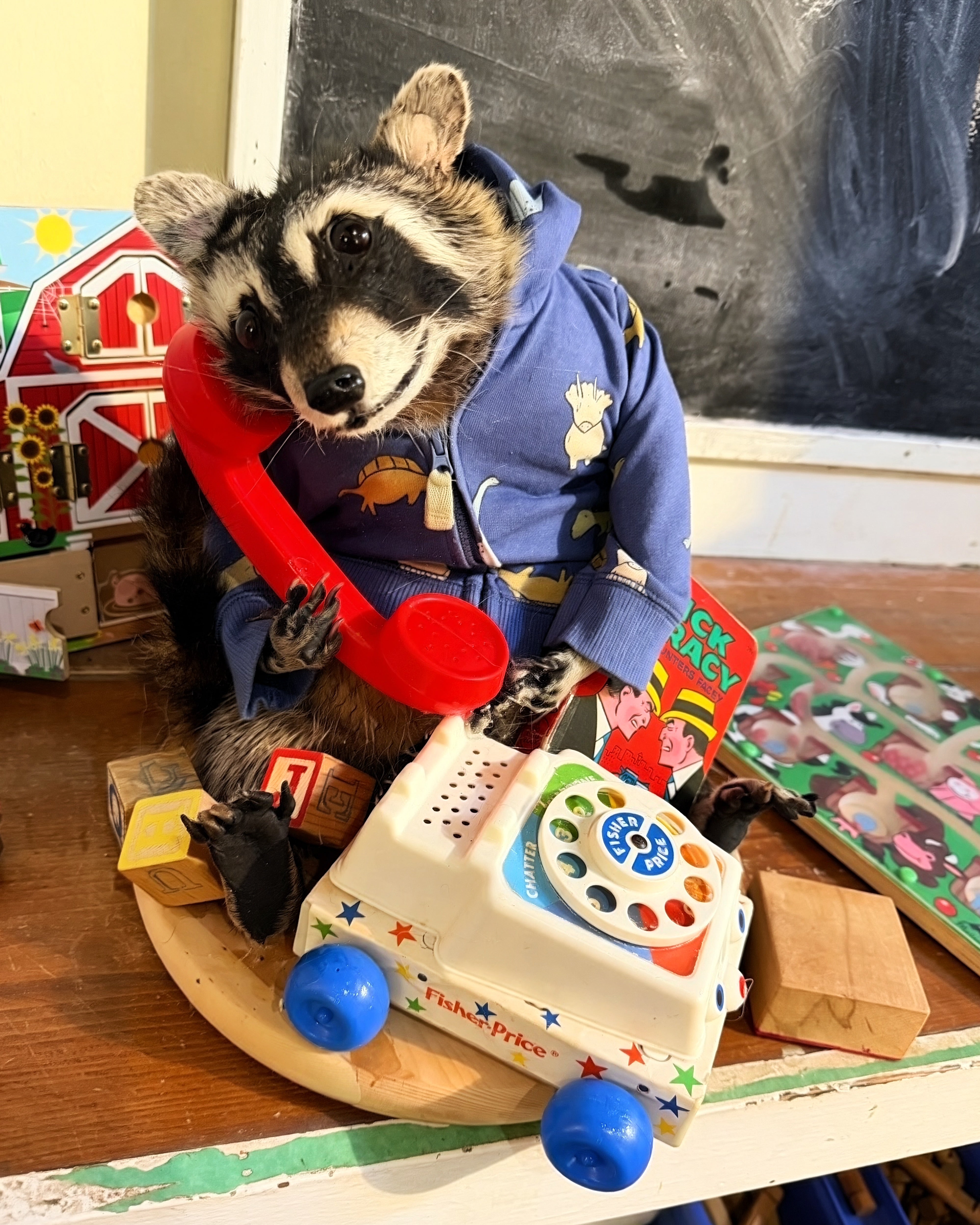 Pickles the Raccoon with Mid Century Vintage Toys
