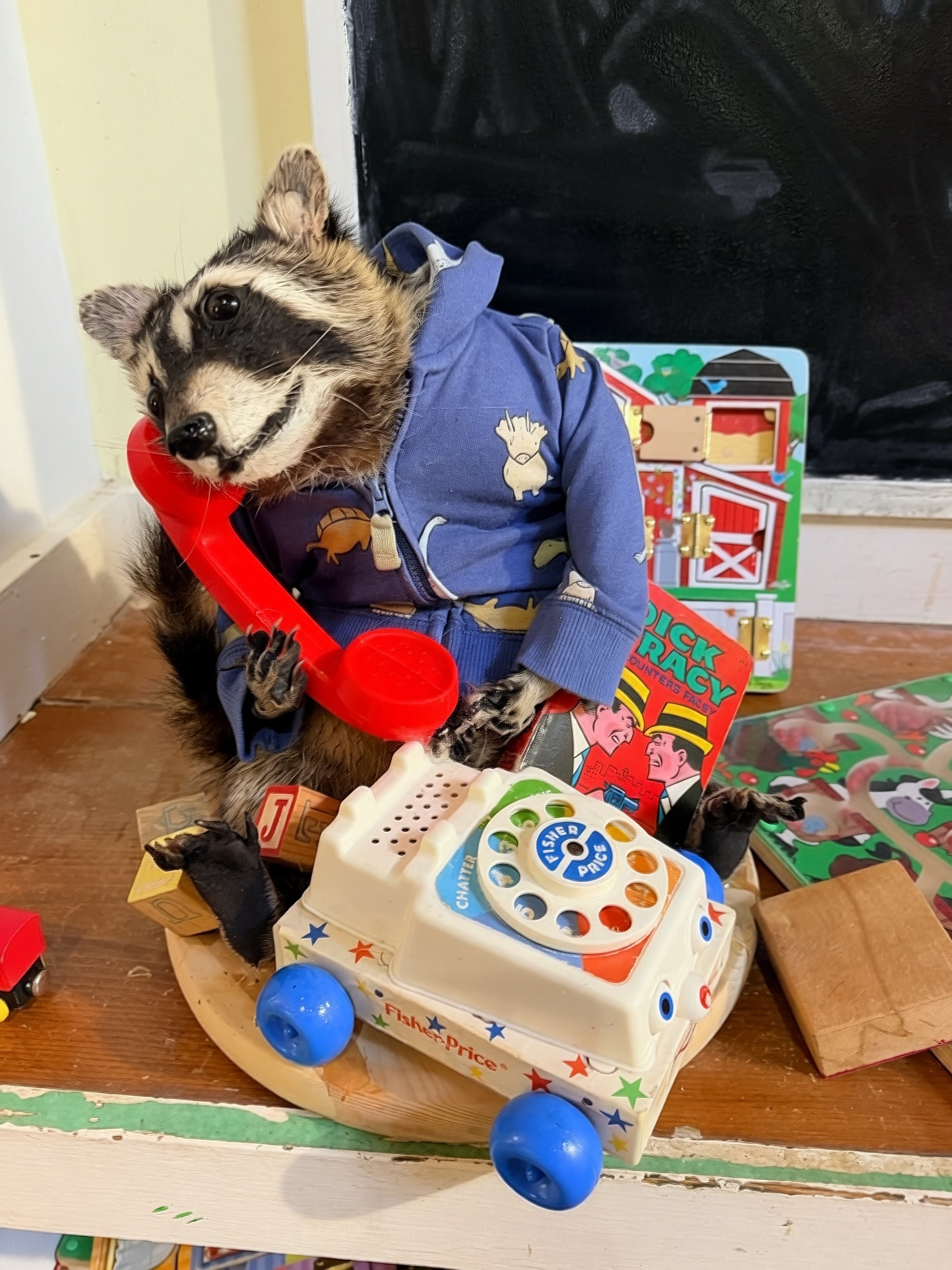 Pickles the Raccoon with Mid Century Vintage Toys