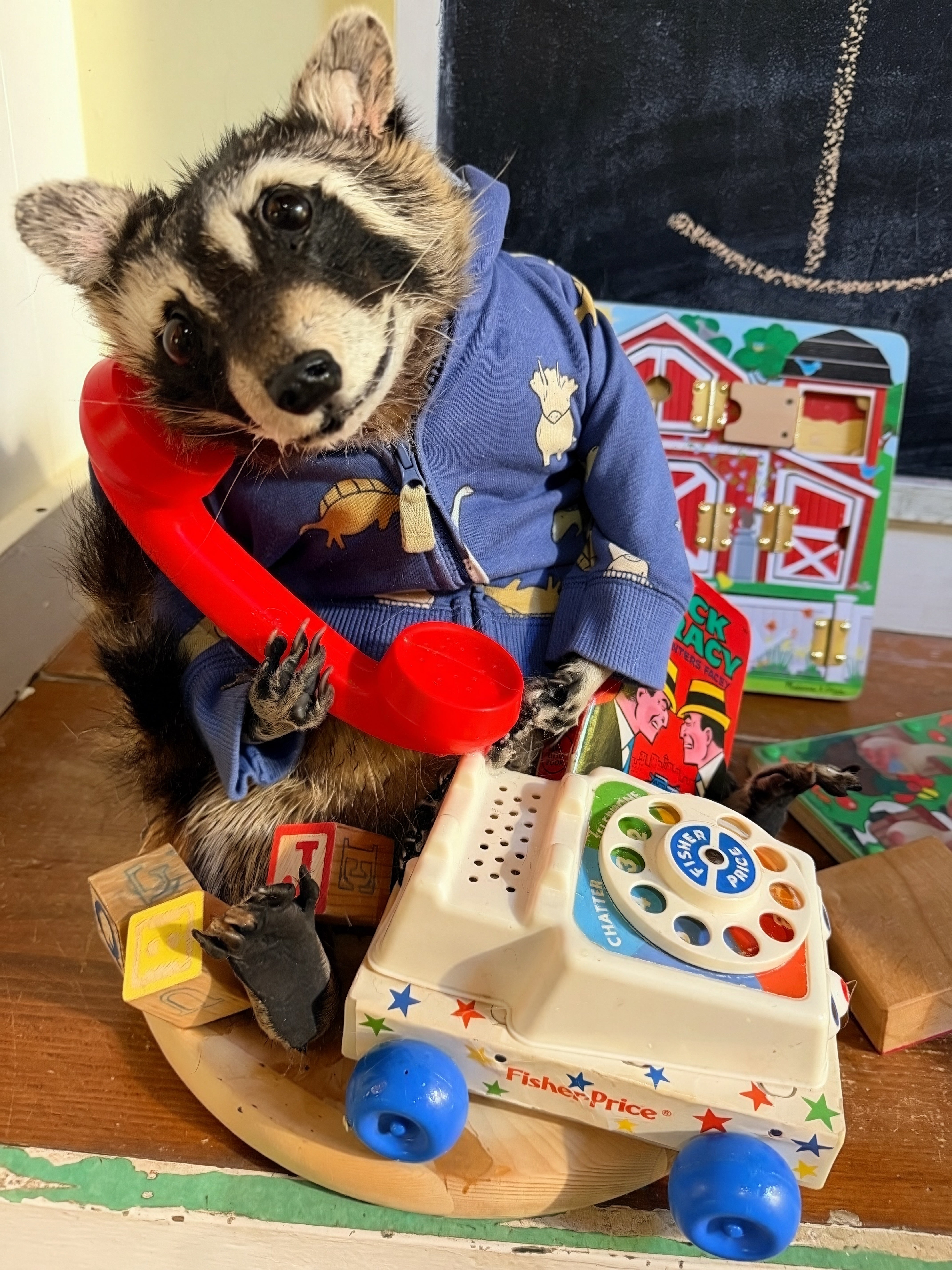 Pickles the Raccoon with Mid Century Vintage Toys