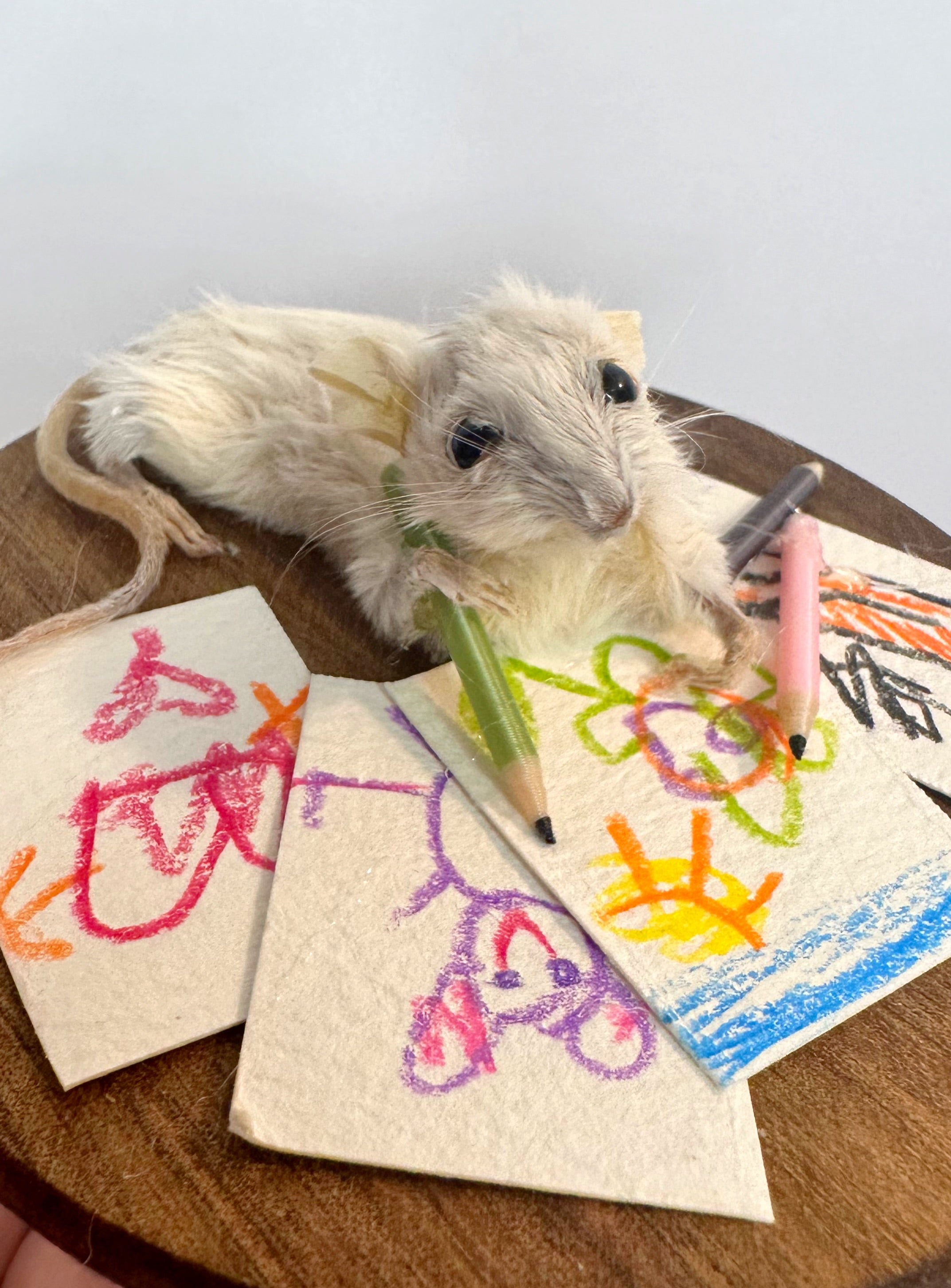 Elizabeth loves to draw