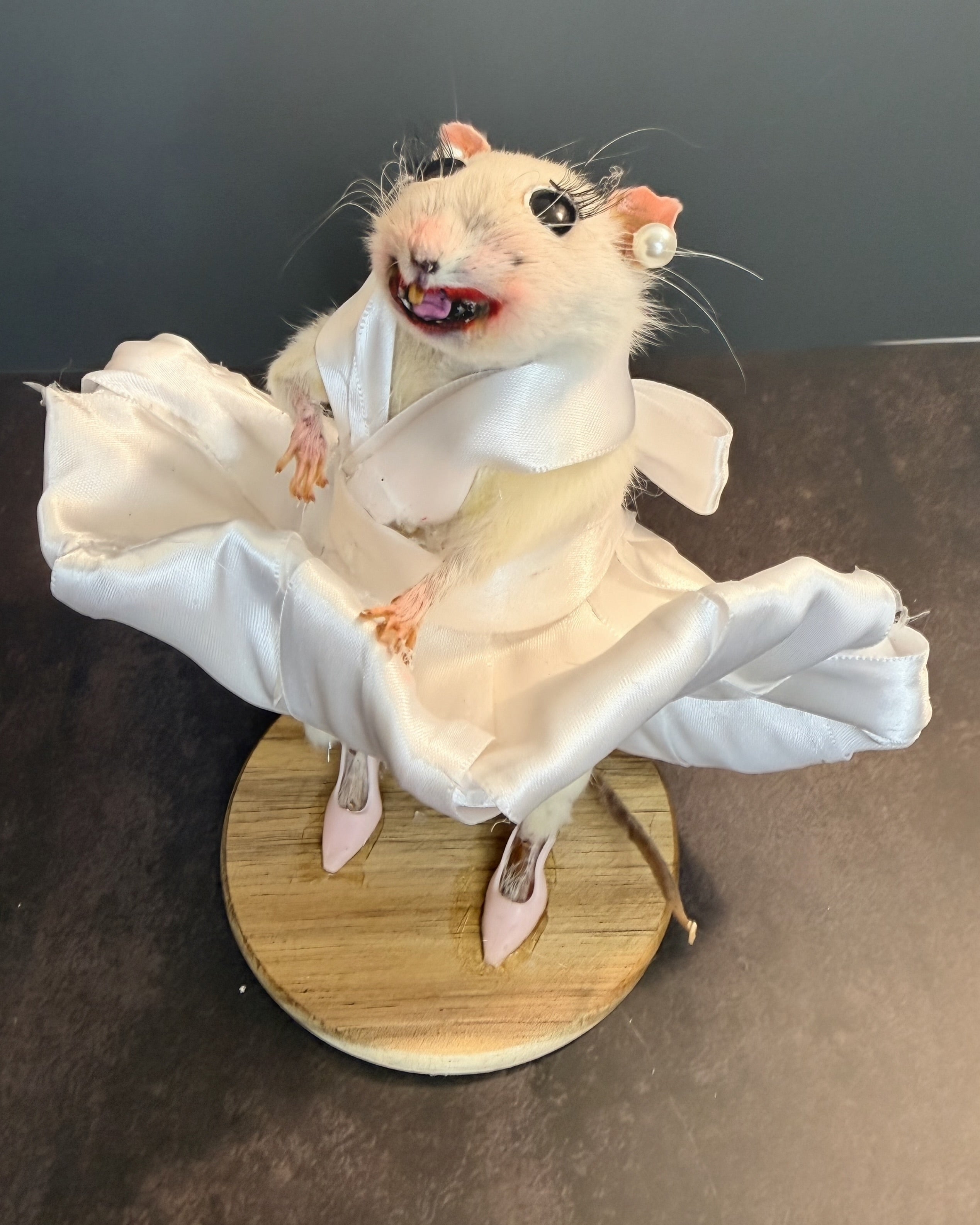 Seven Year Itch Rat