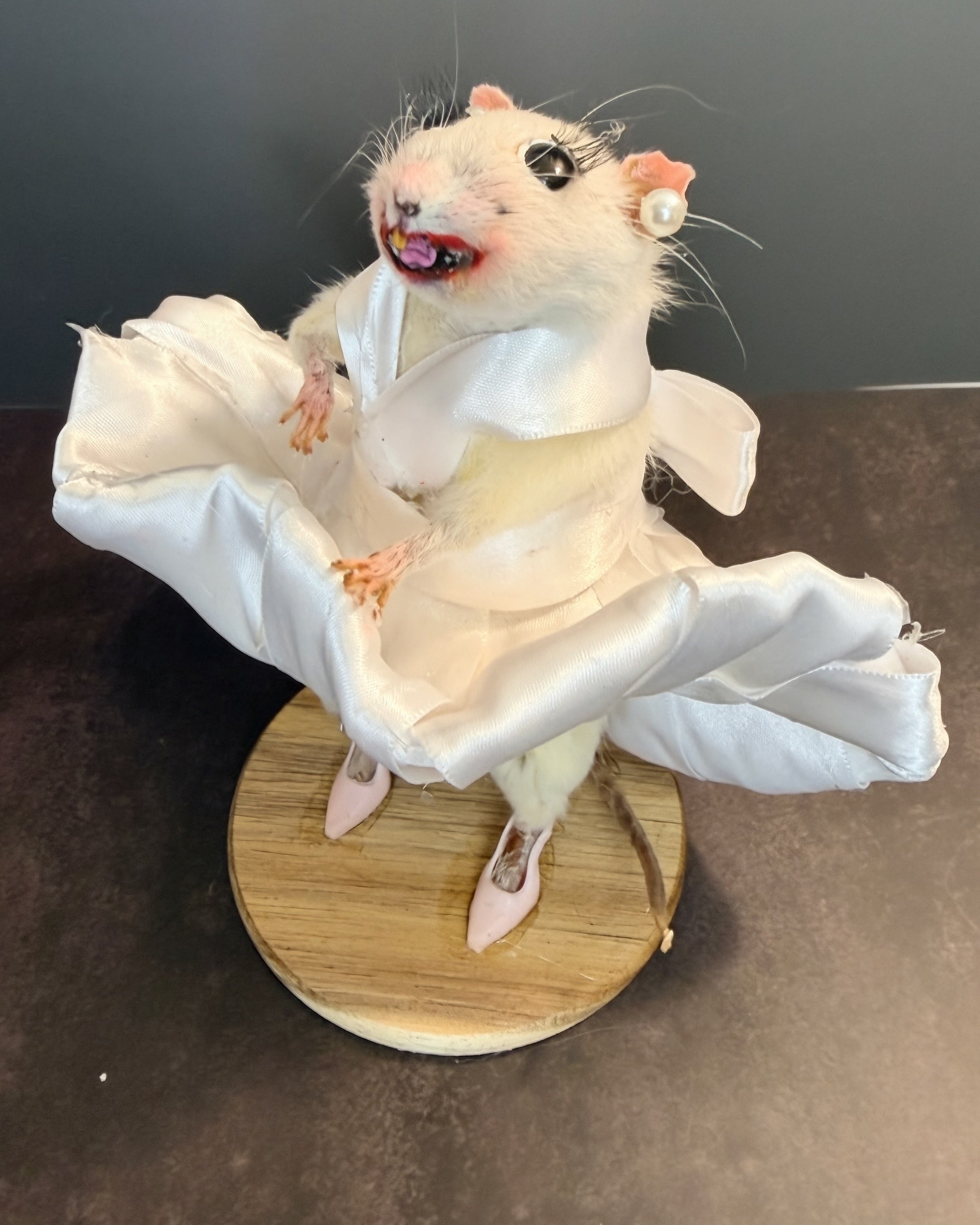 Seven Year Itch Rat