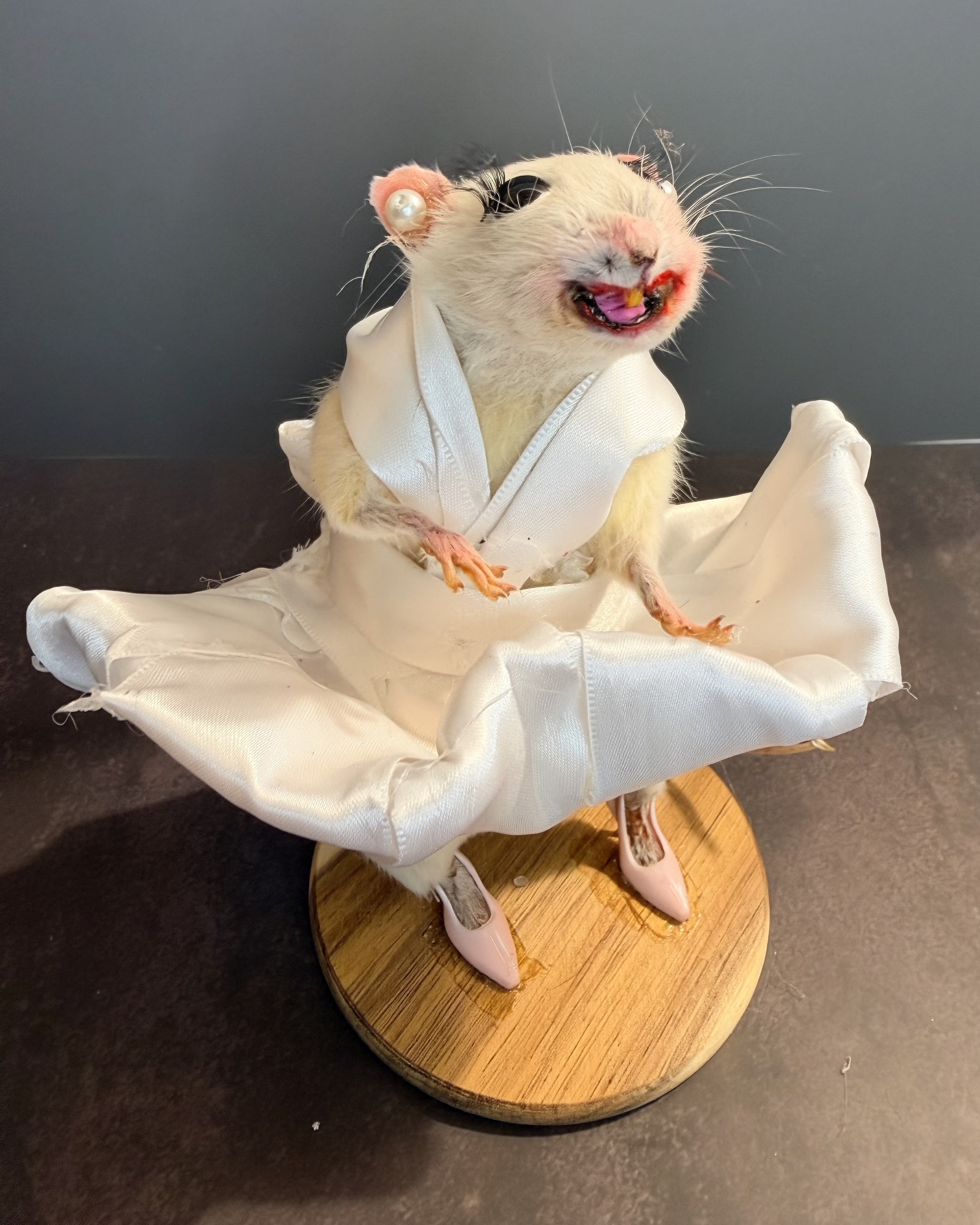 Seven Year Itch Rat