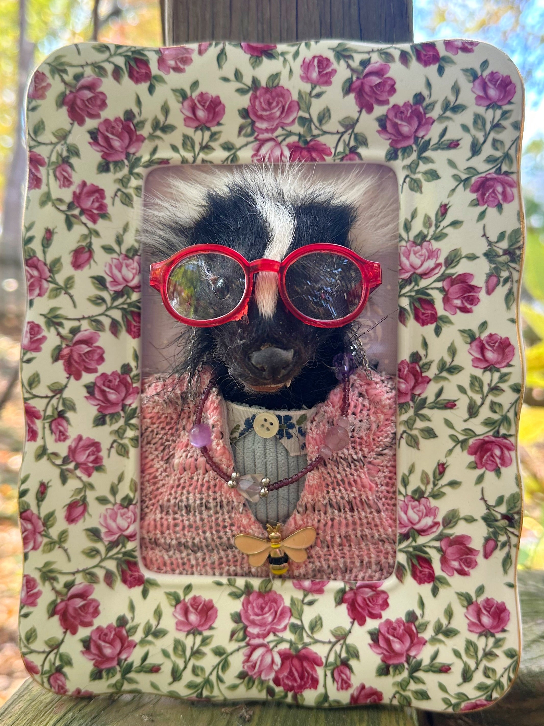 Perfection & Oddities