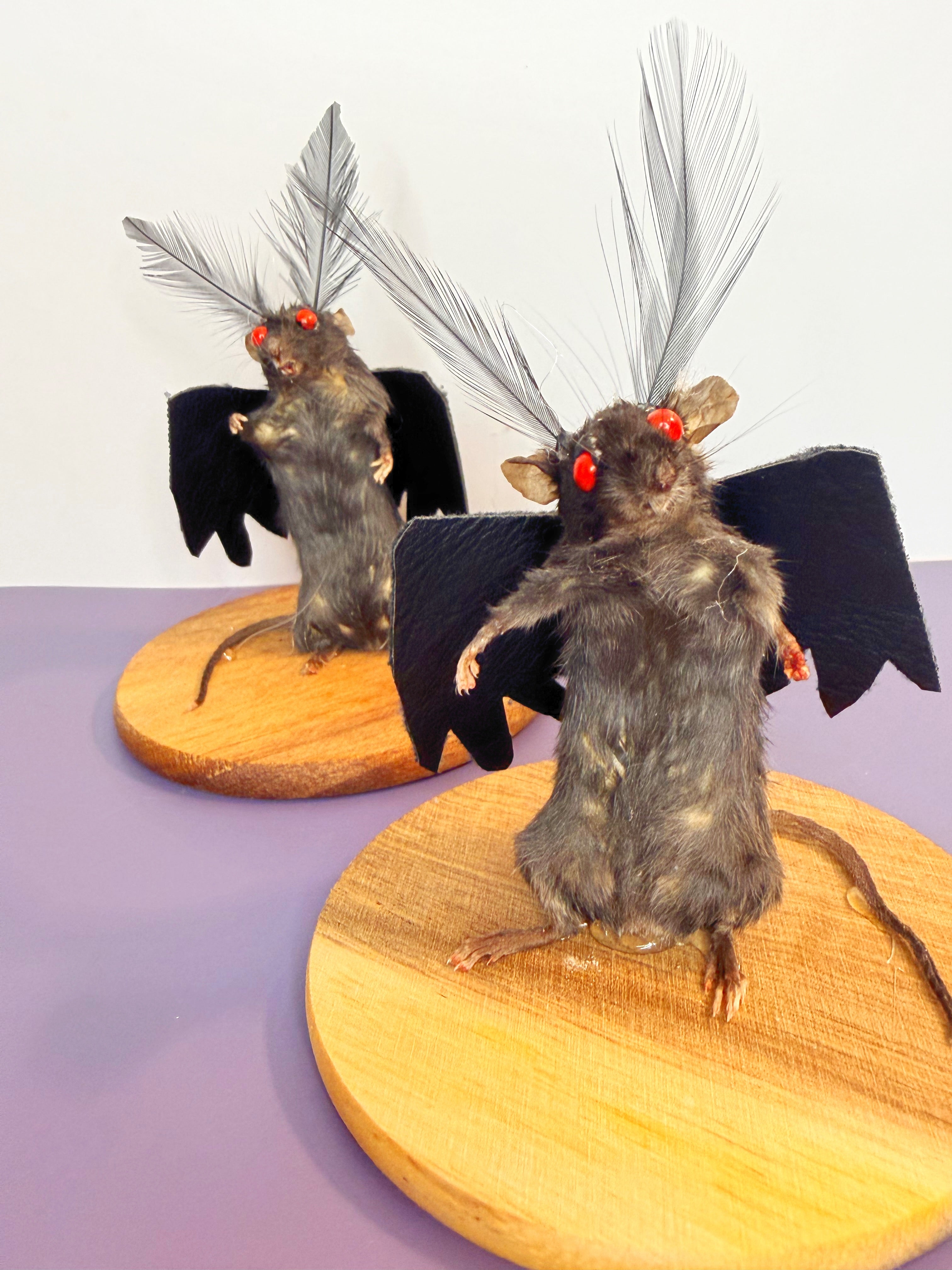 MOTHMICE