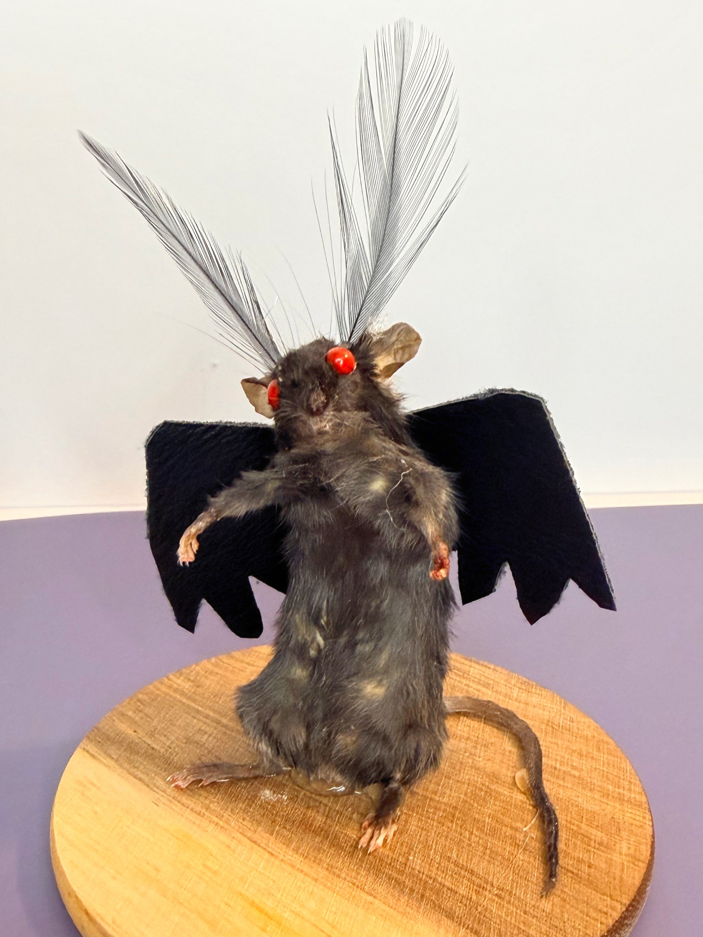 MOTHMICE