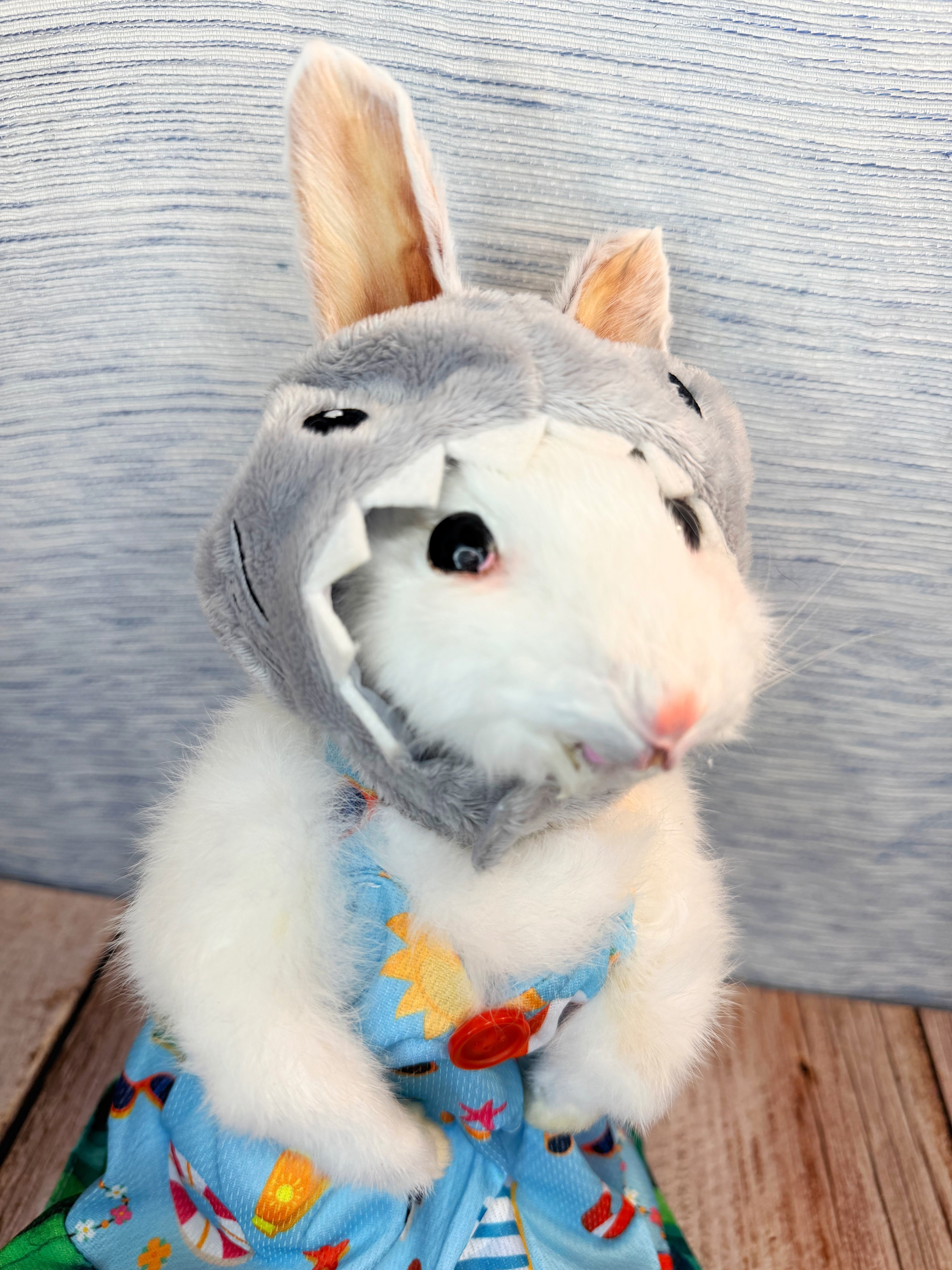 SHARK BITE OOH AH AH