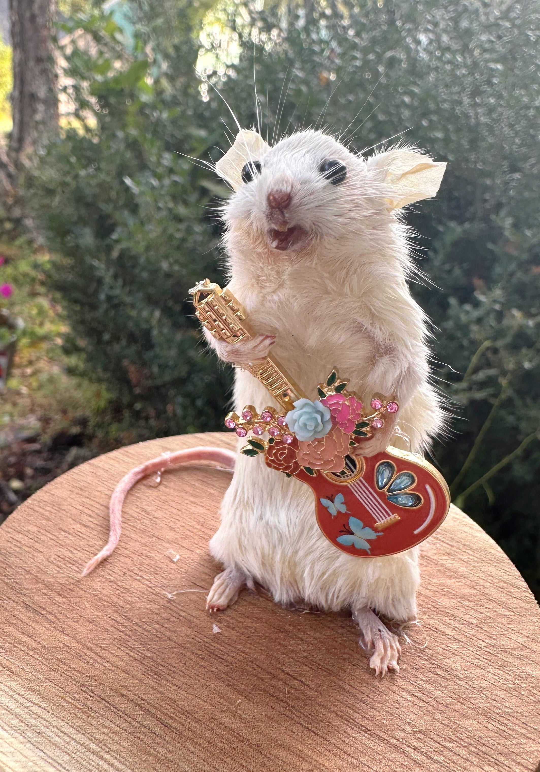 Perfection & Oddities