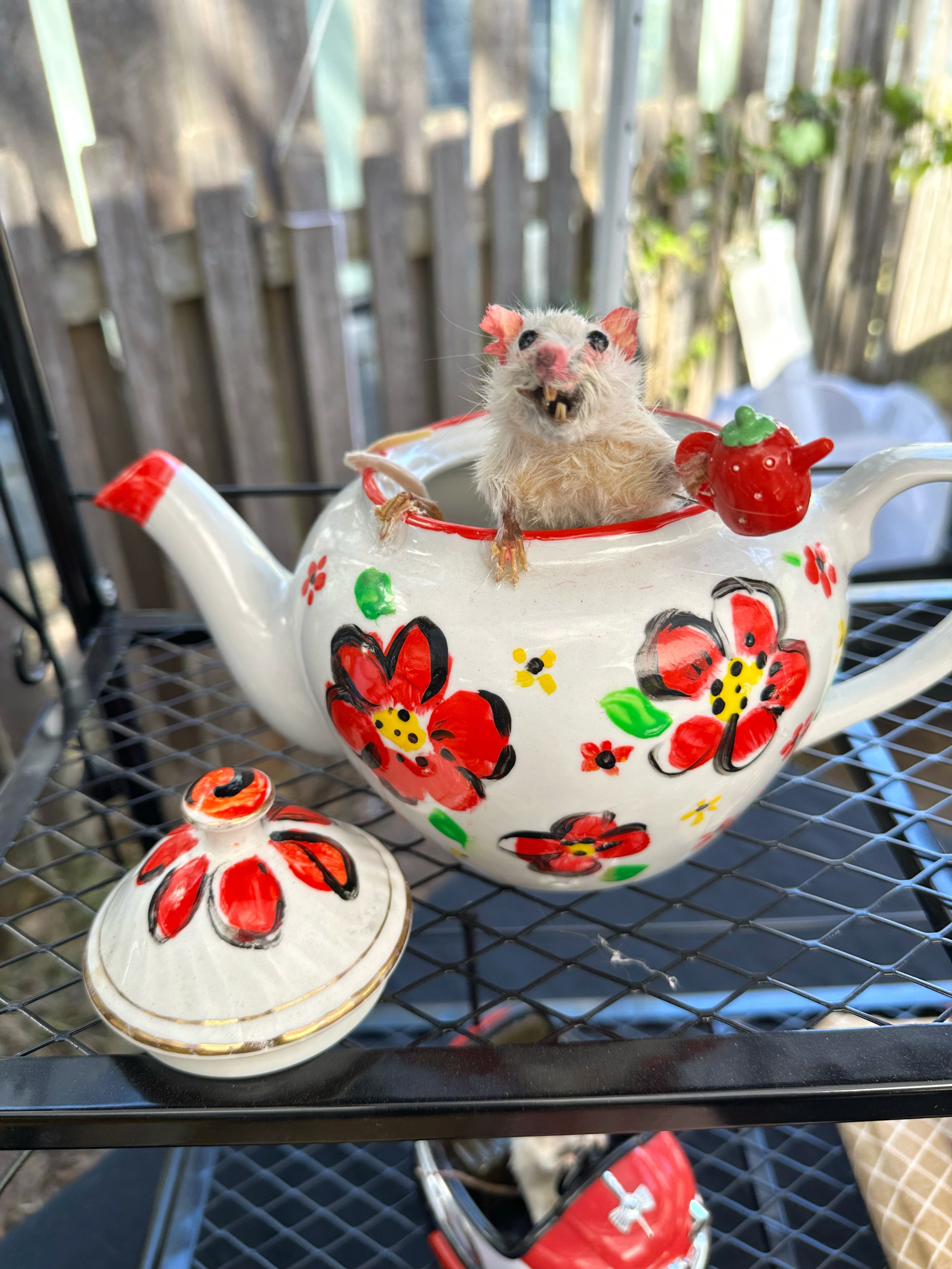 Perfection & Oddities