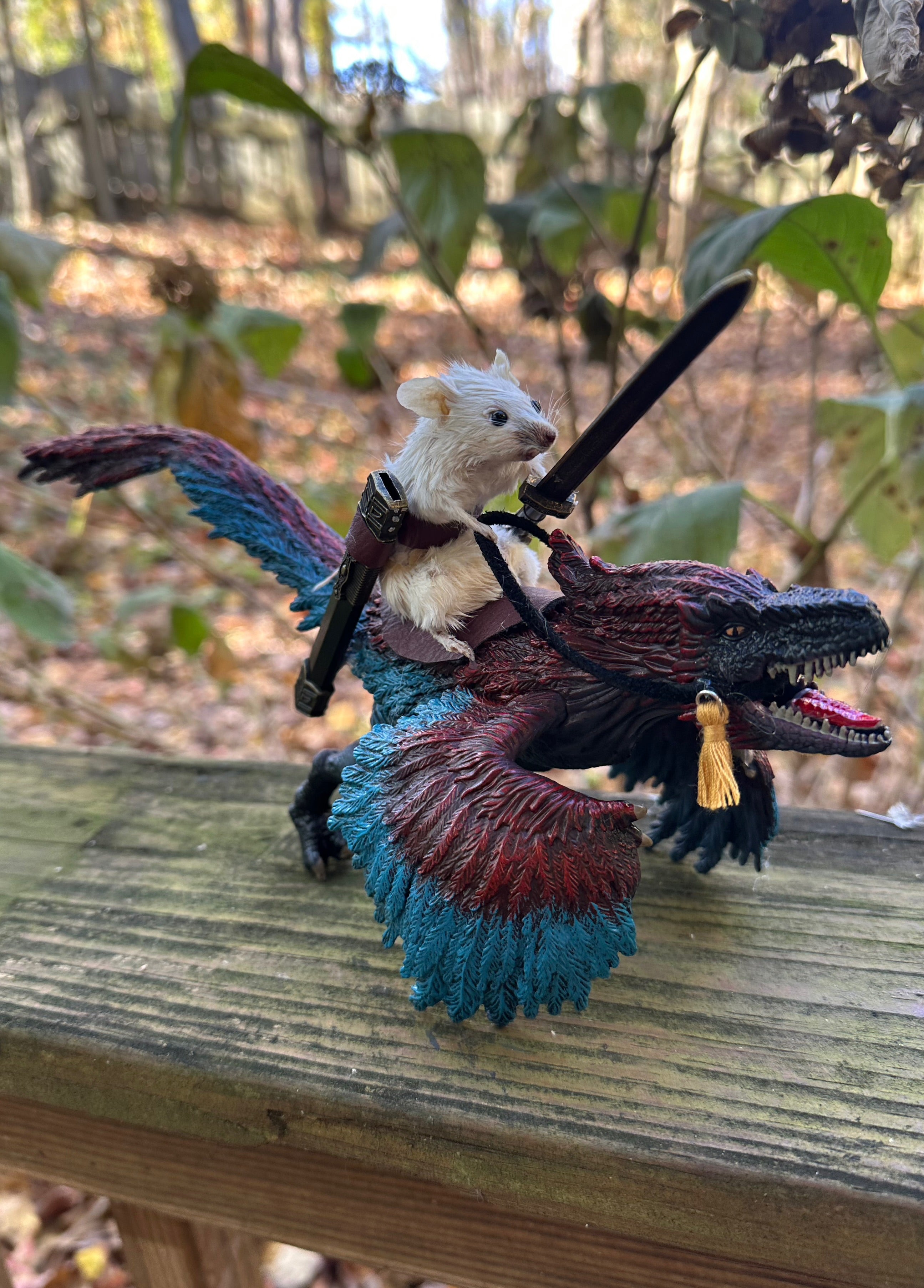 Perfection & Oddities