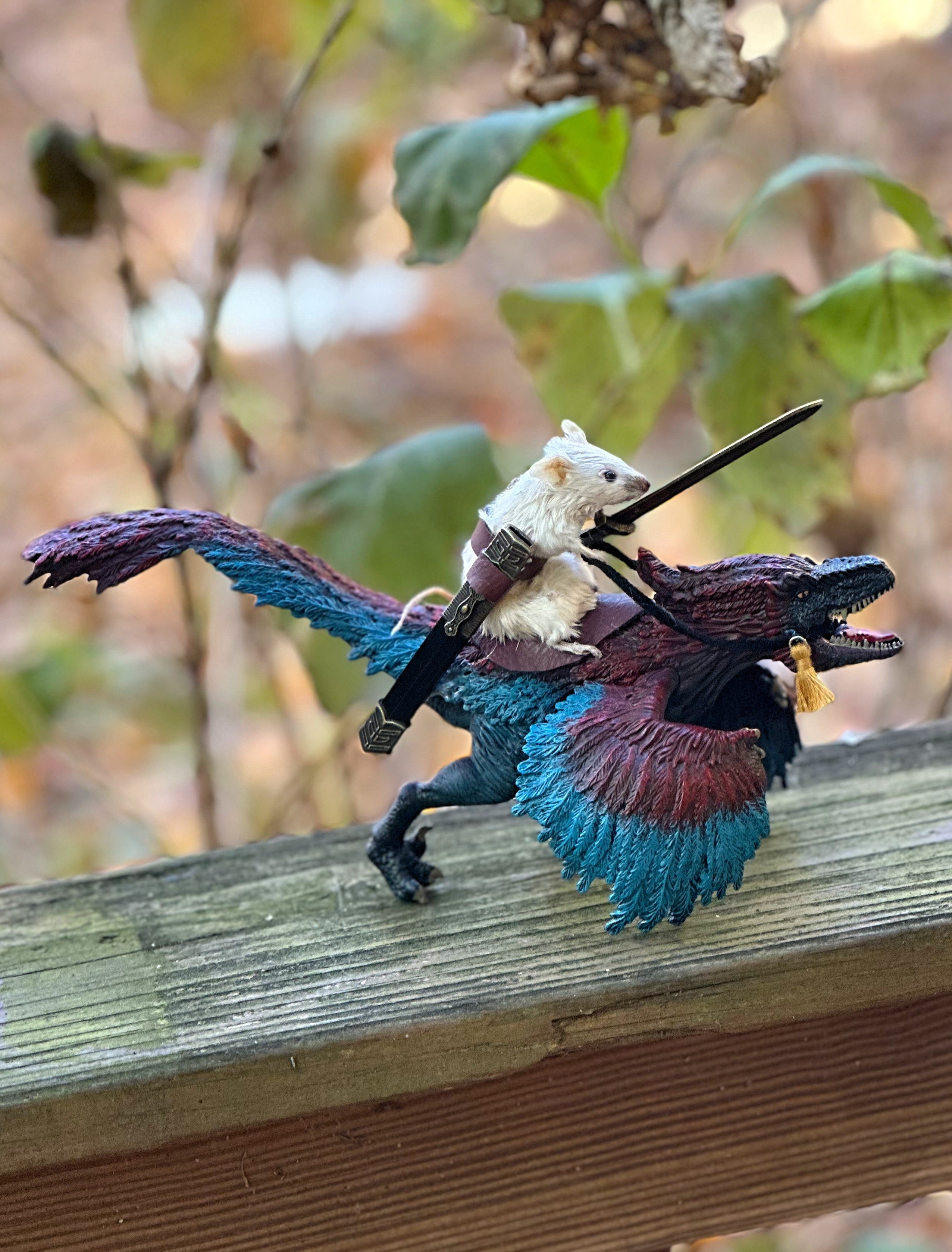 Perfection & Oddities