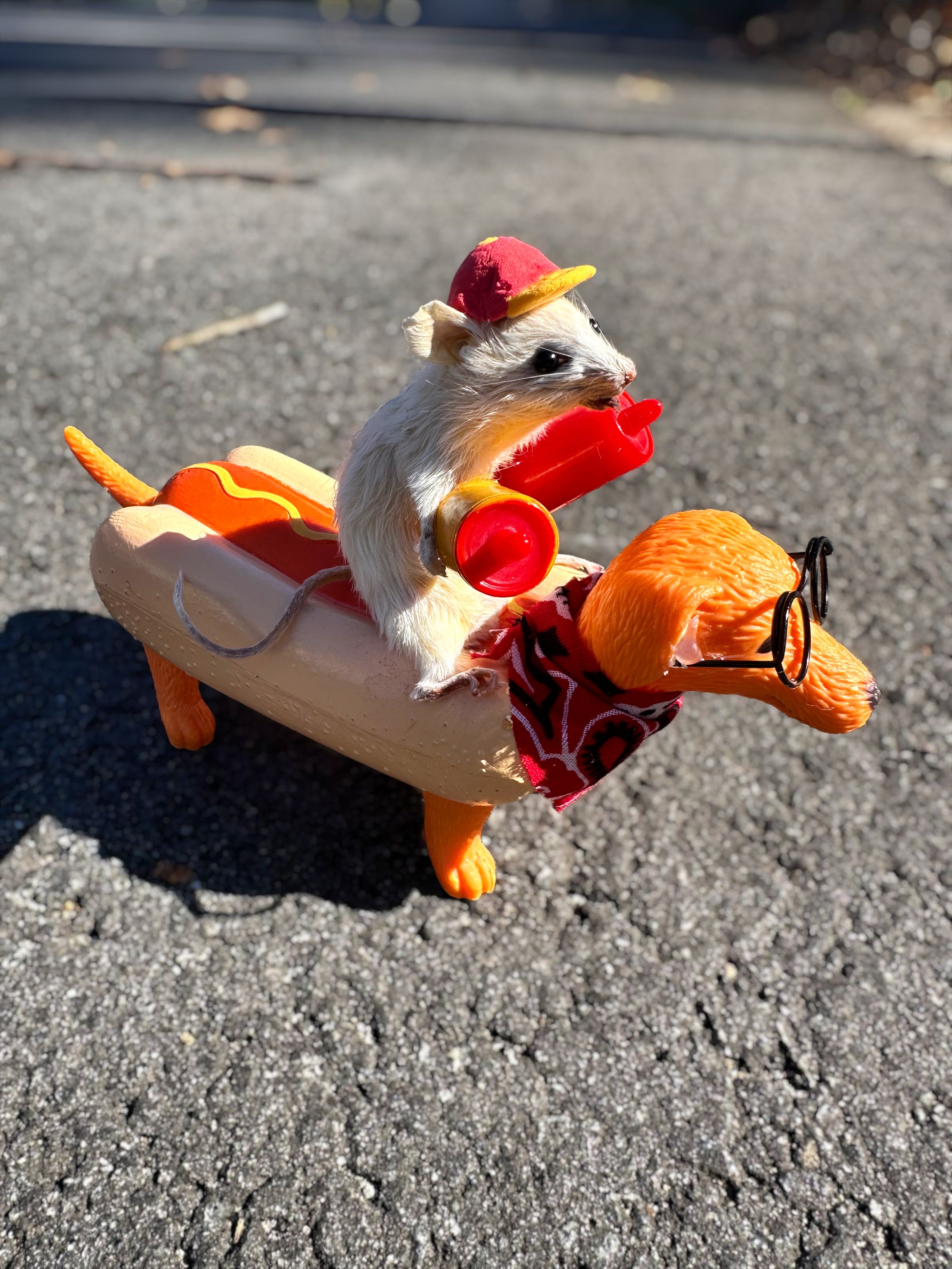 Perfection & Oddities