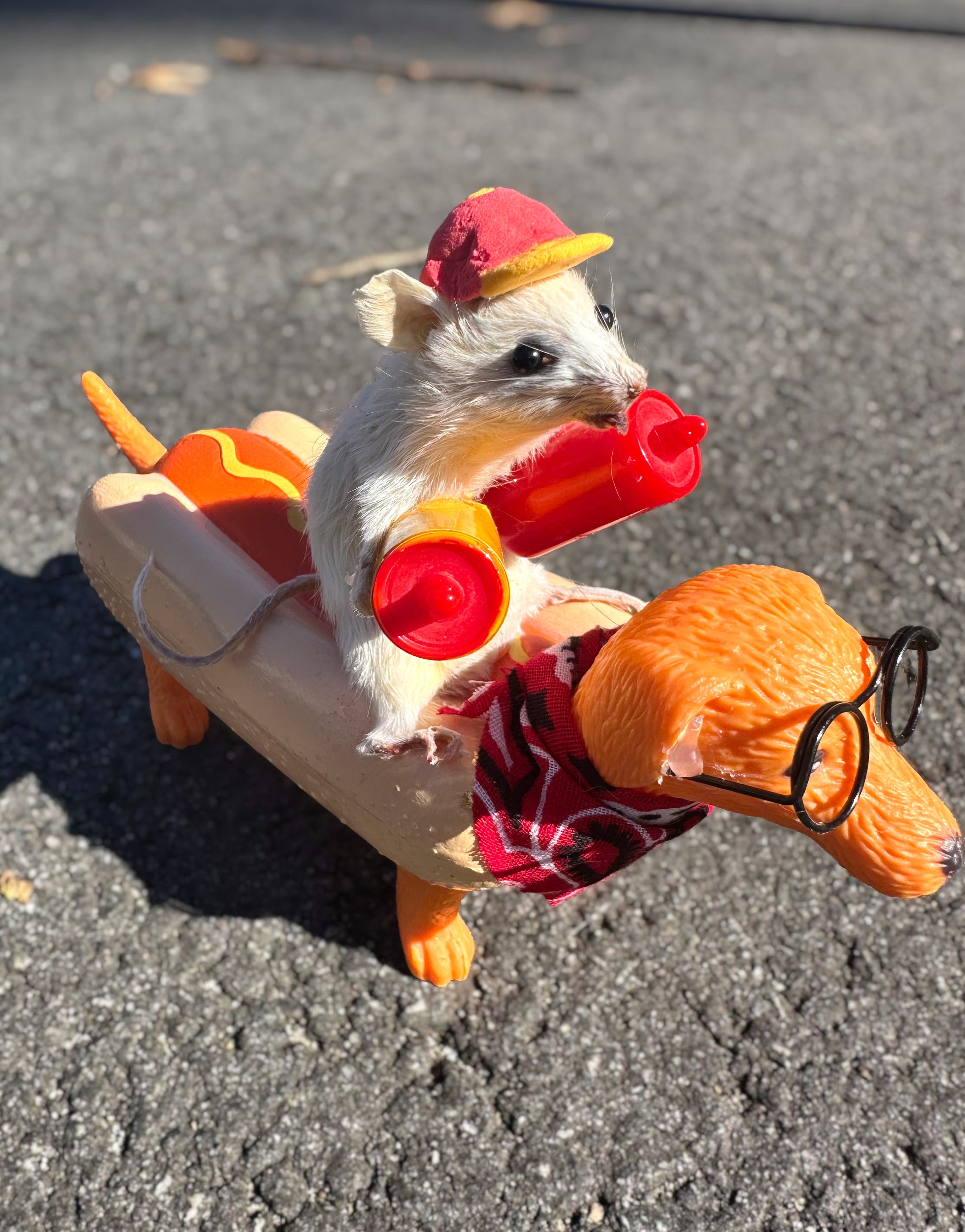 Perfection & Oddities