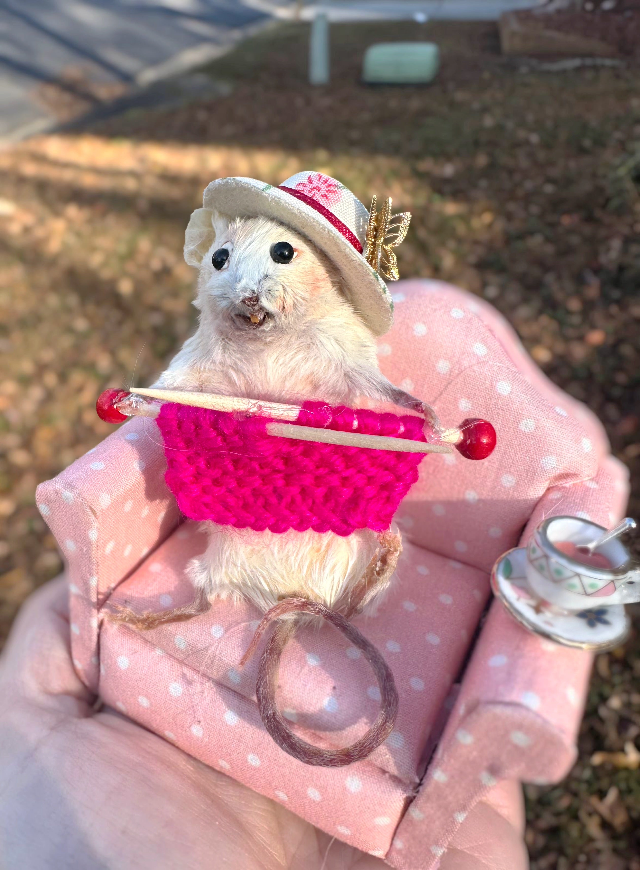 That sweet old lady who is always knitting