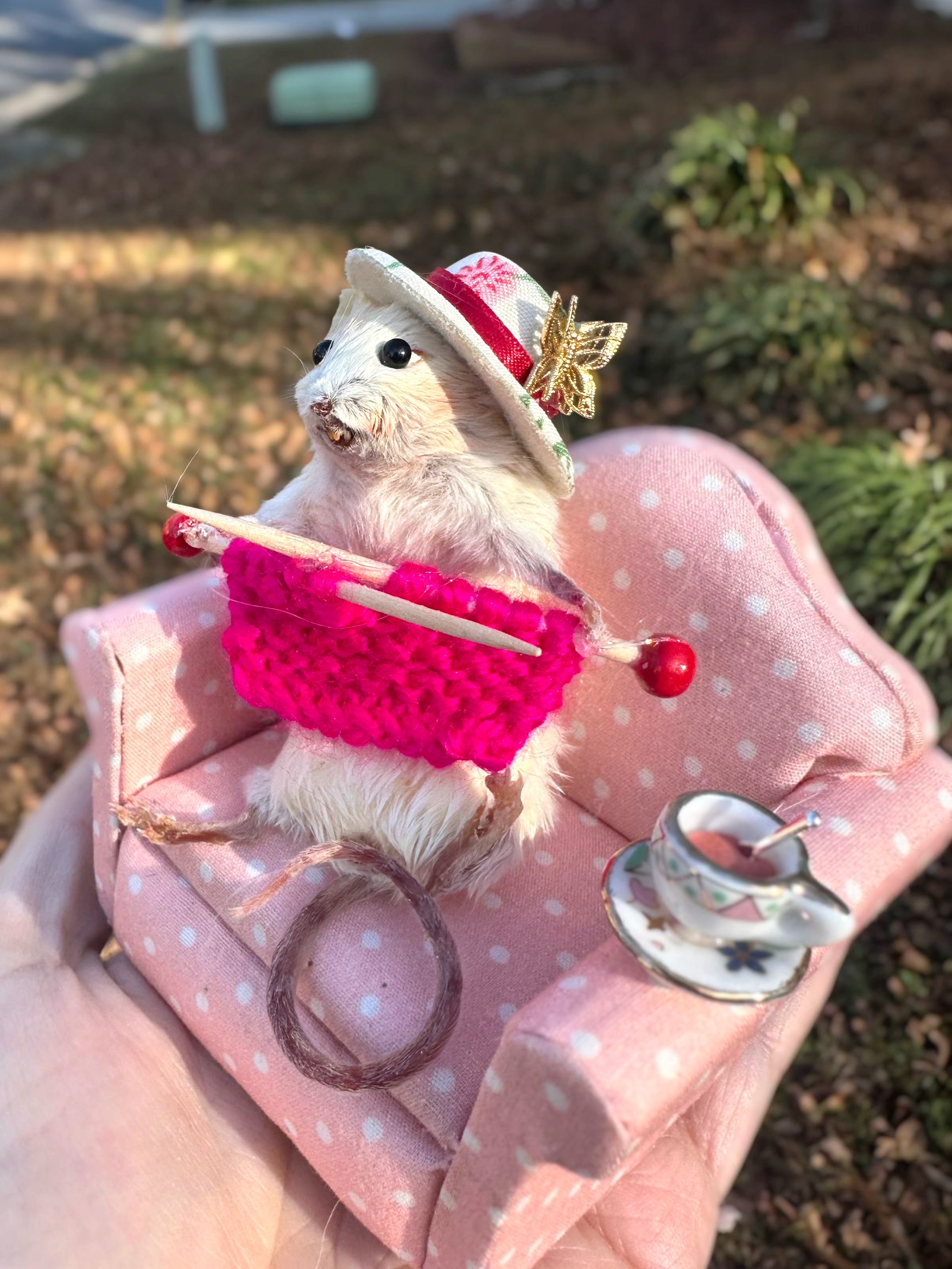 That sweet old lady who is always knitting