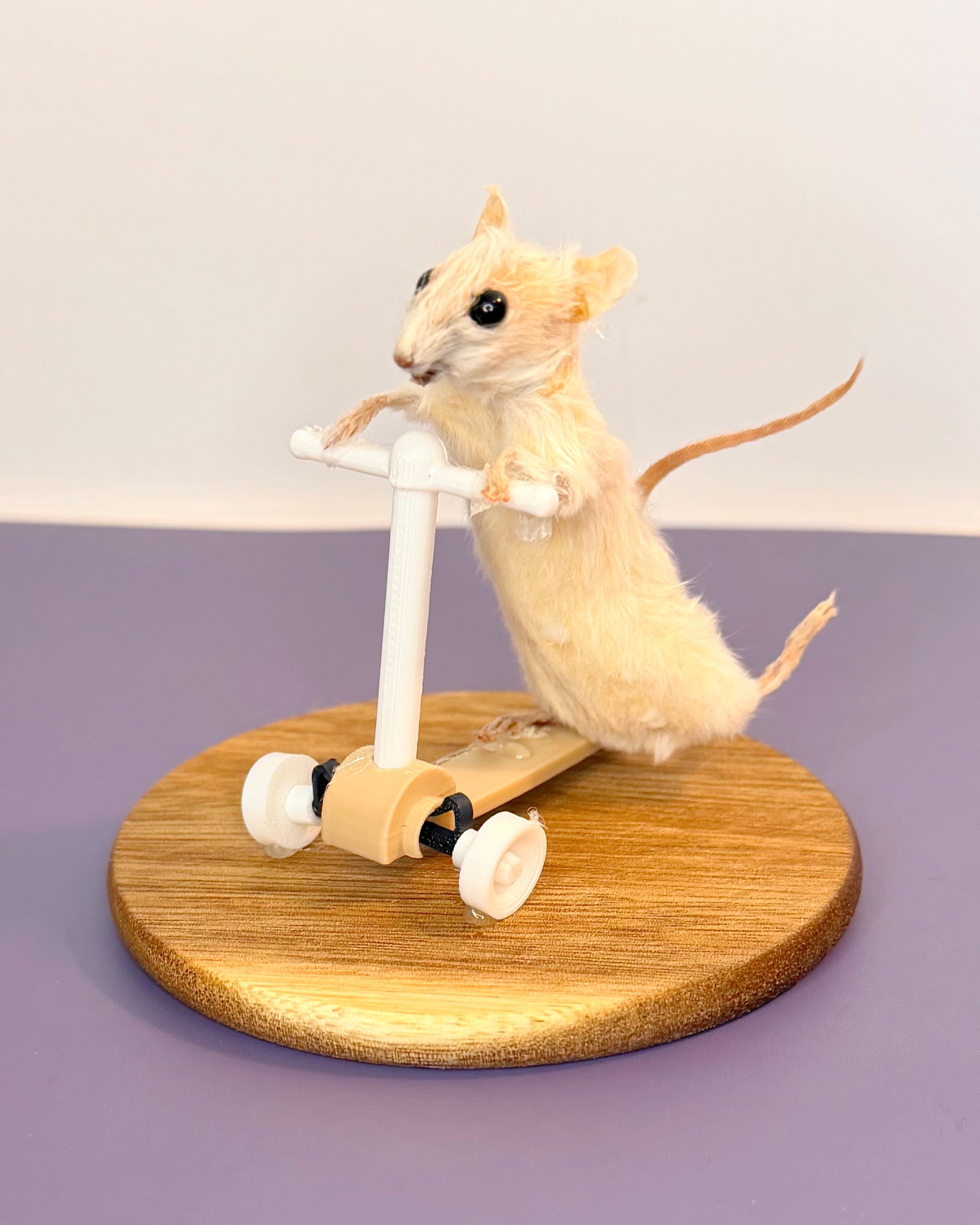 Scooter