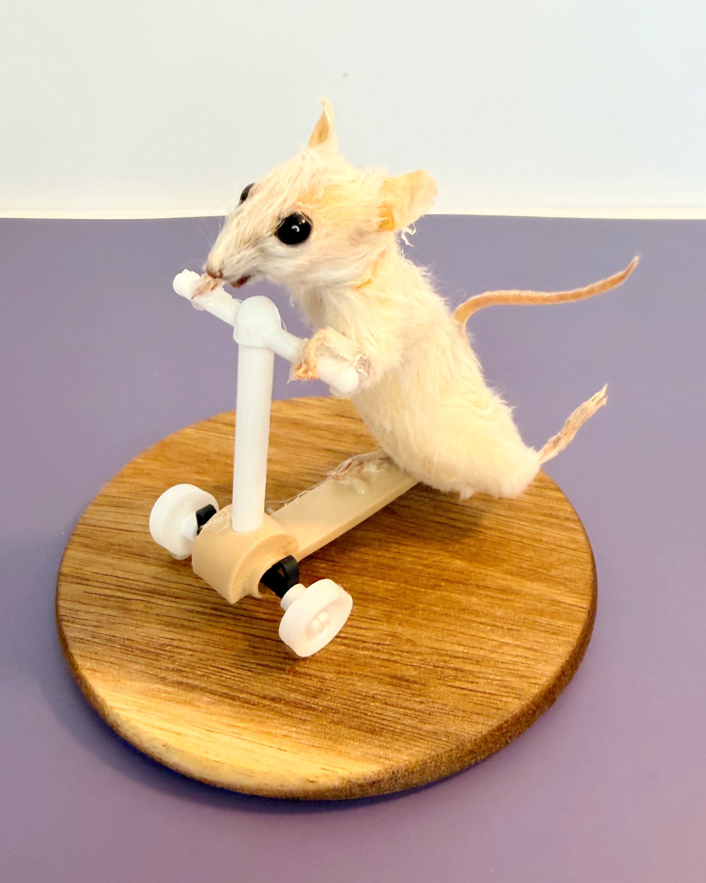 Scooter