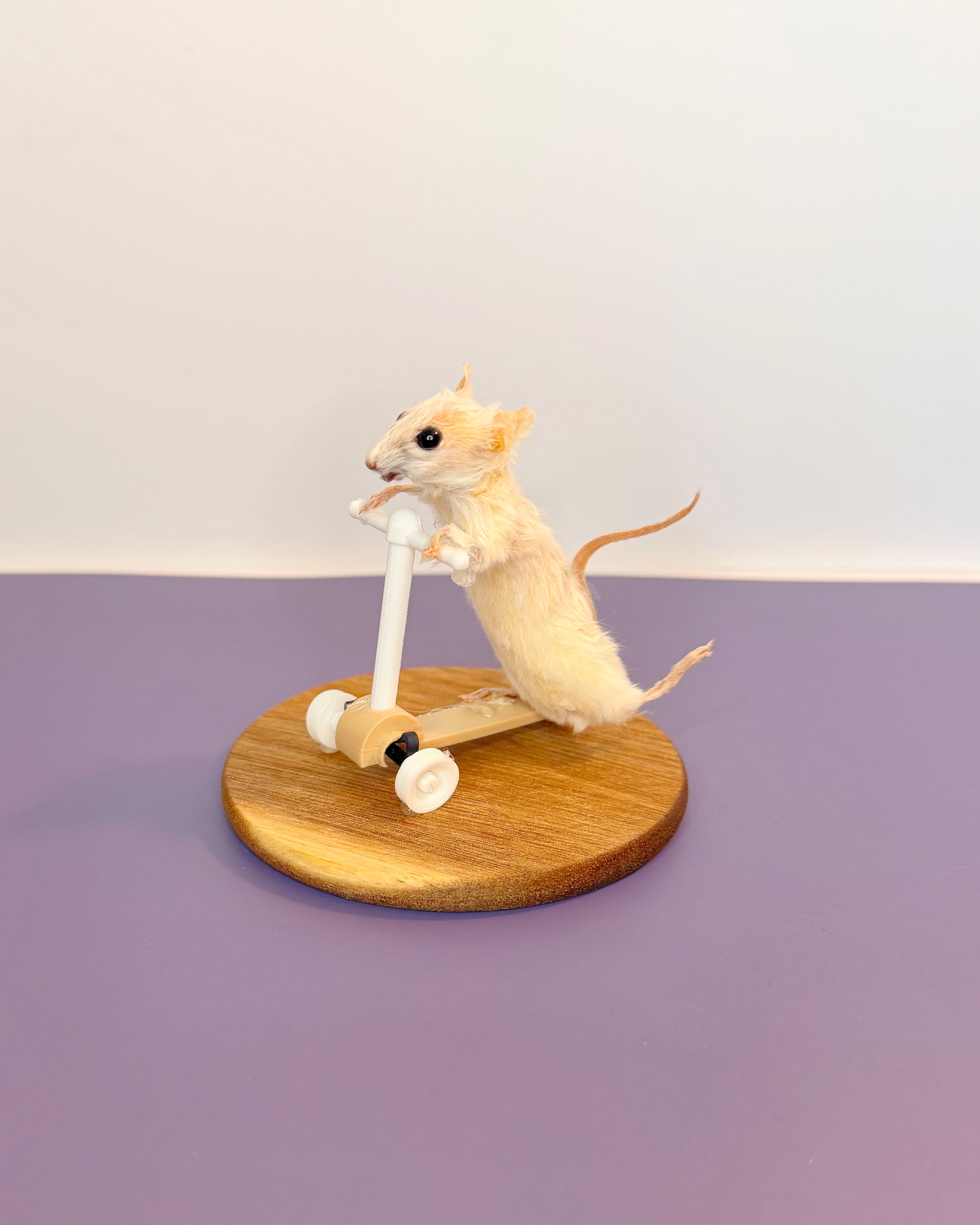 Scooter