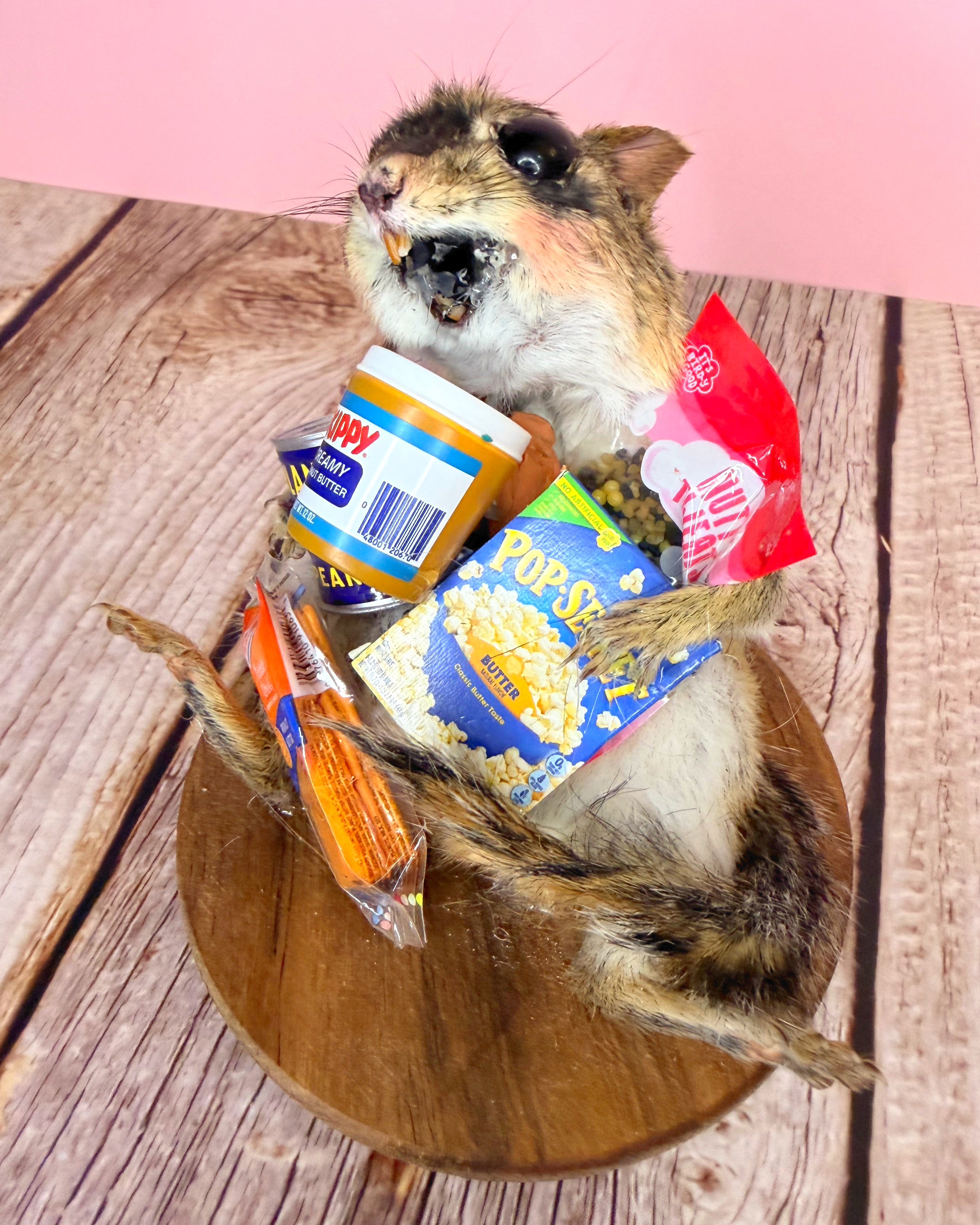 Jackpot! Chipmunk