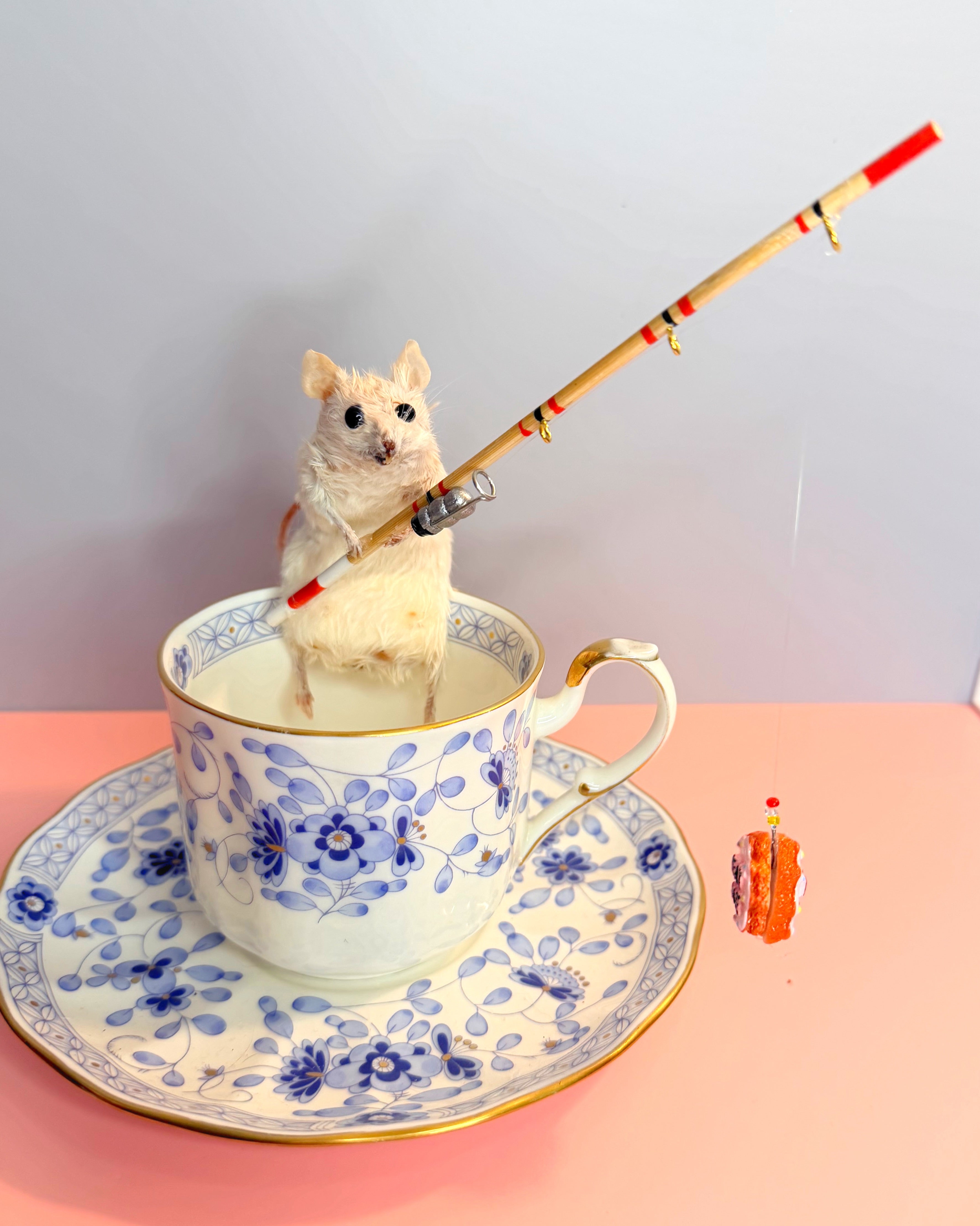 Fishermouse