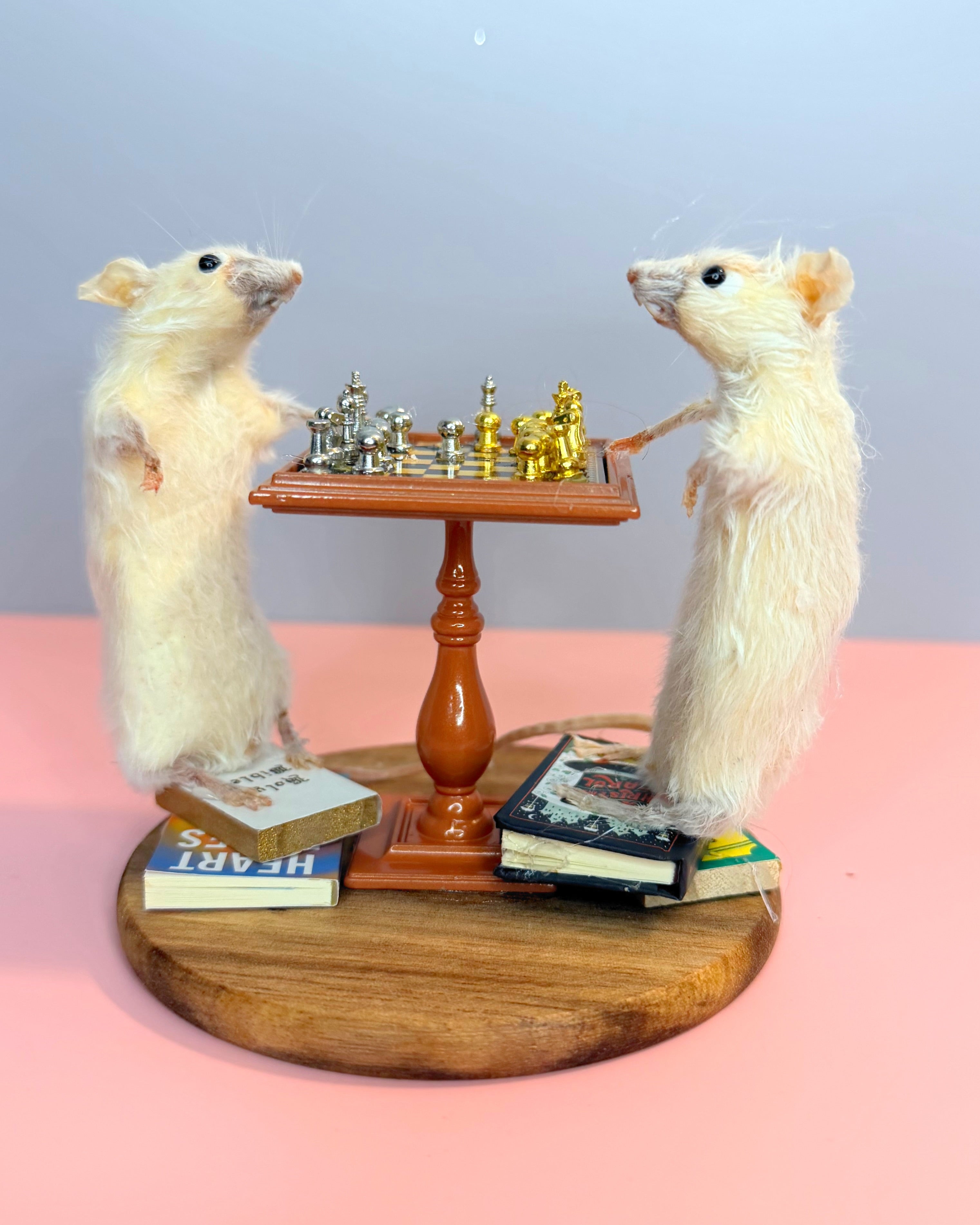 Chess Masters