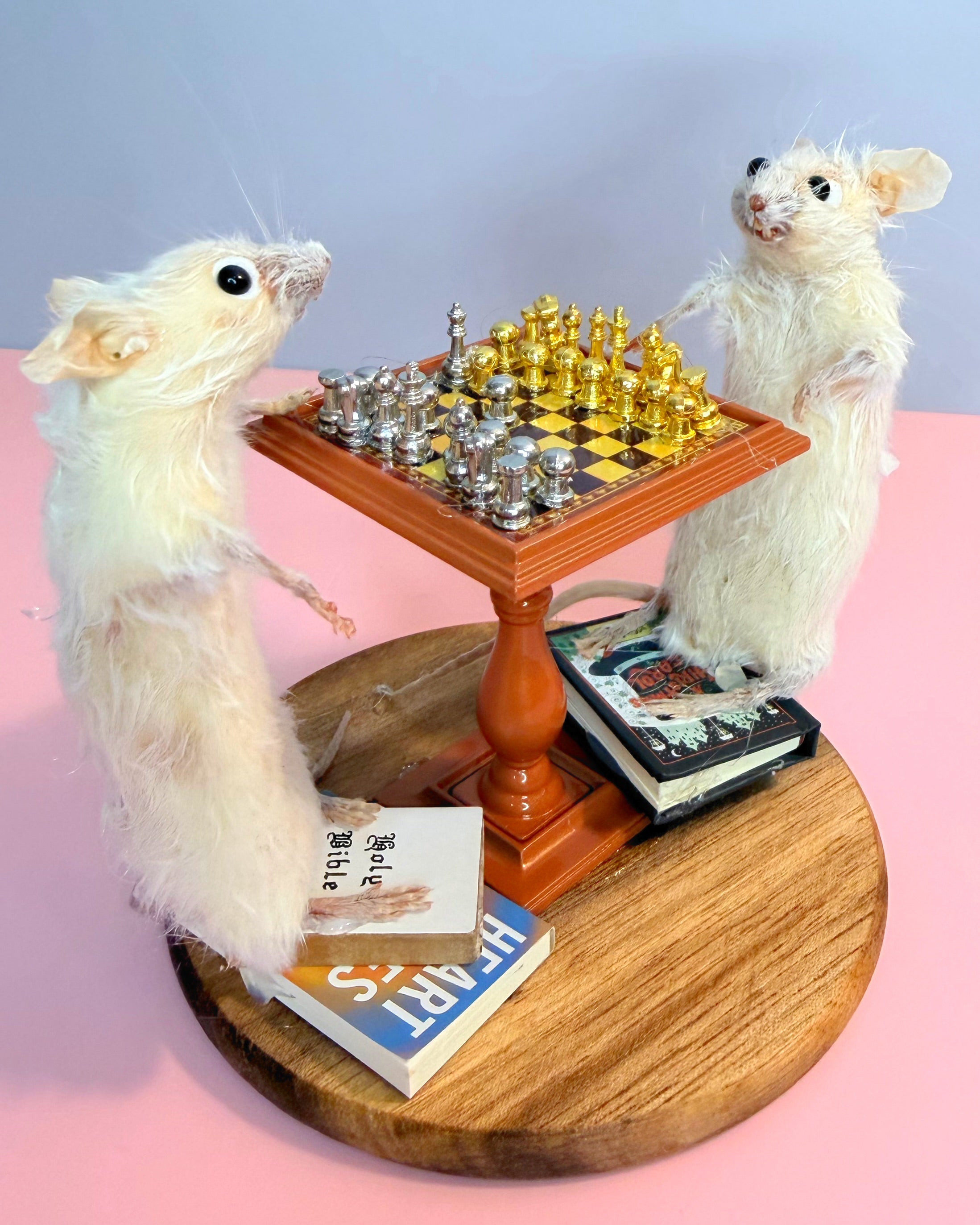Chess Masters