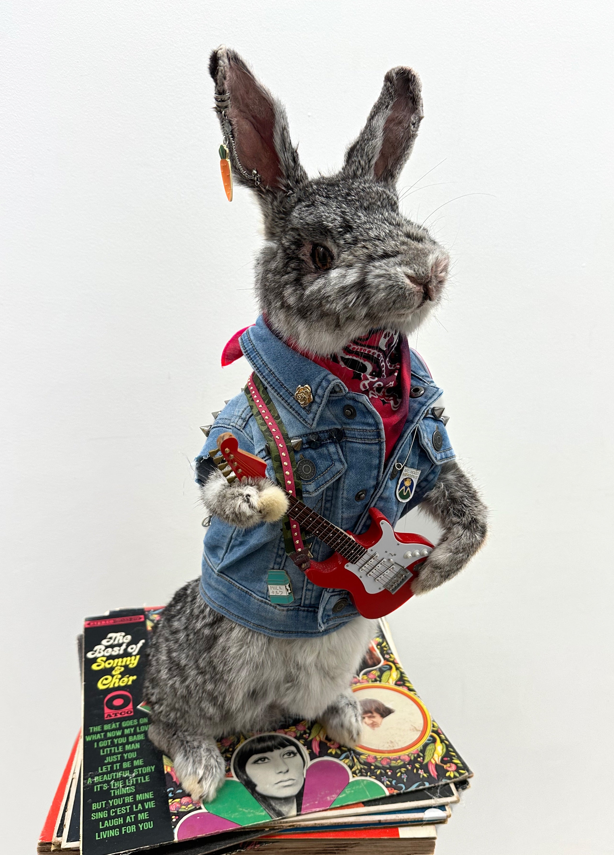 Skippy The Rocker Rabbit