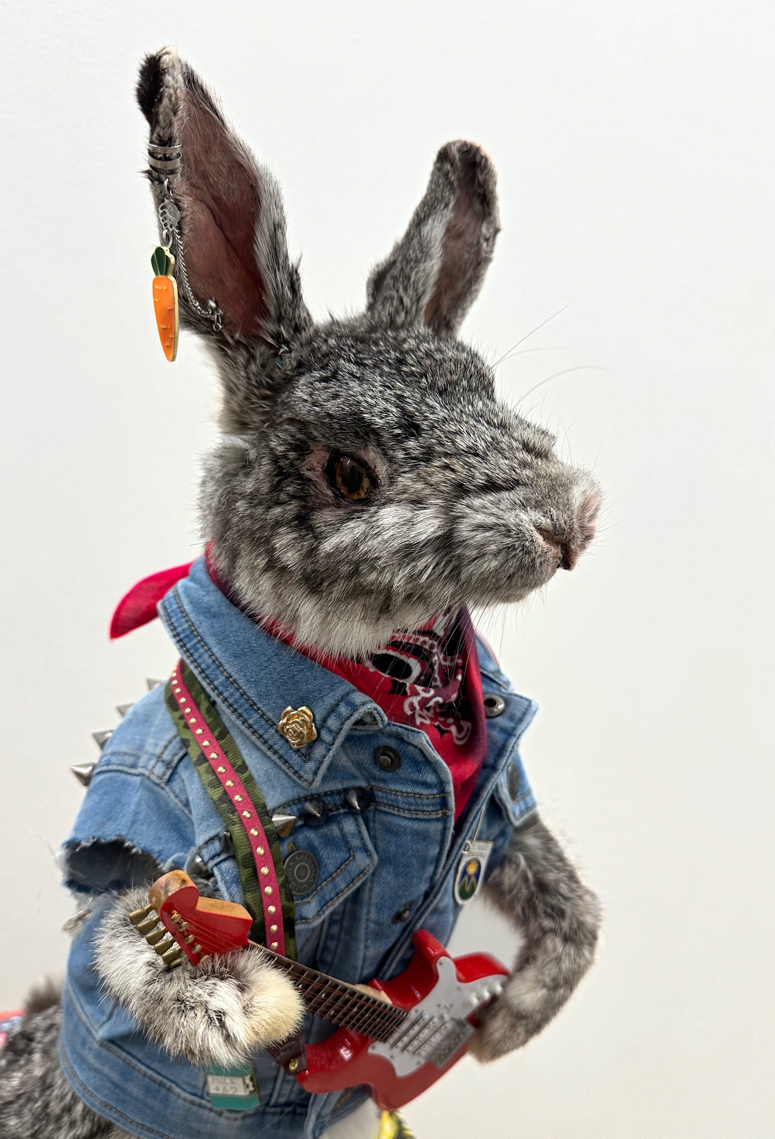 Skippy The Rocker Rabbit
