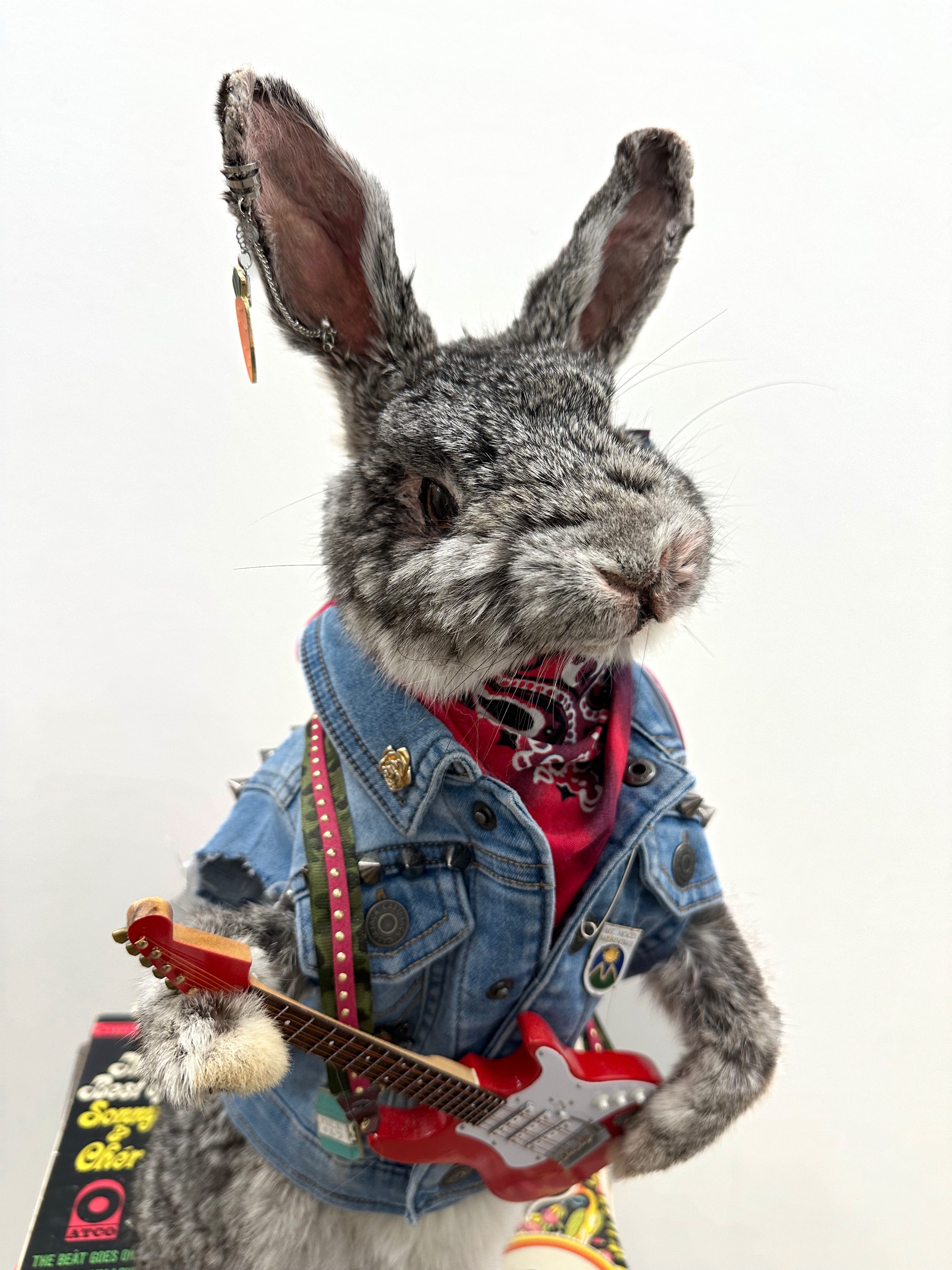 Skippy The Rocker Rabbit
