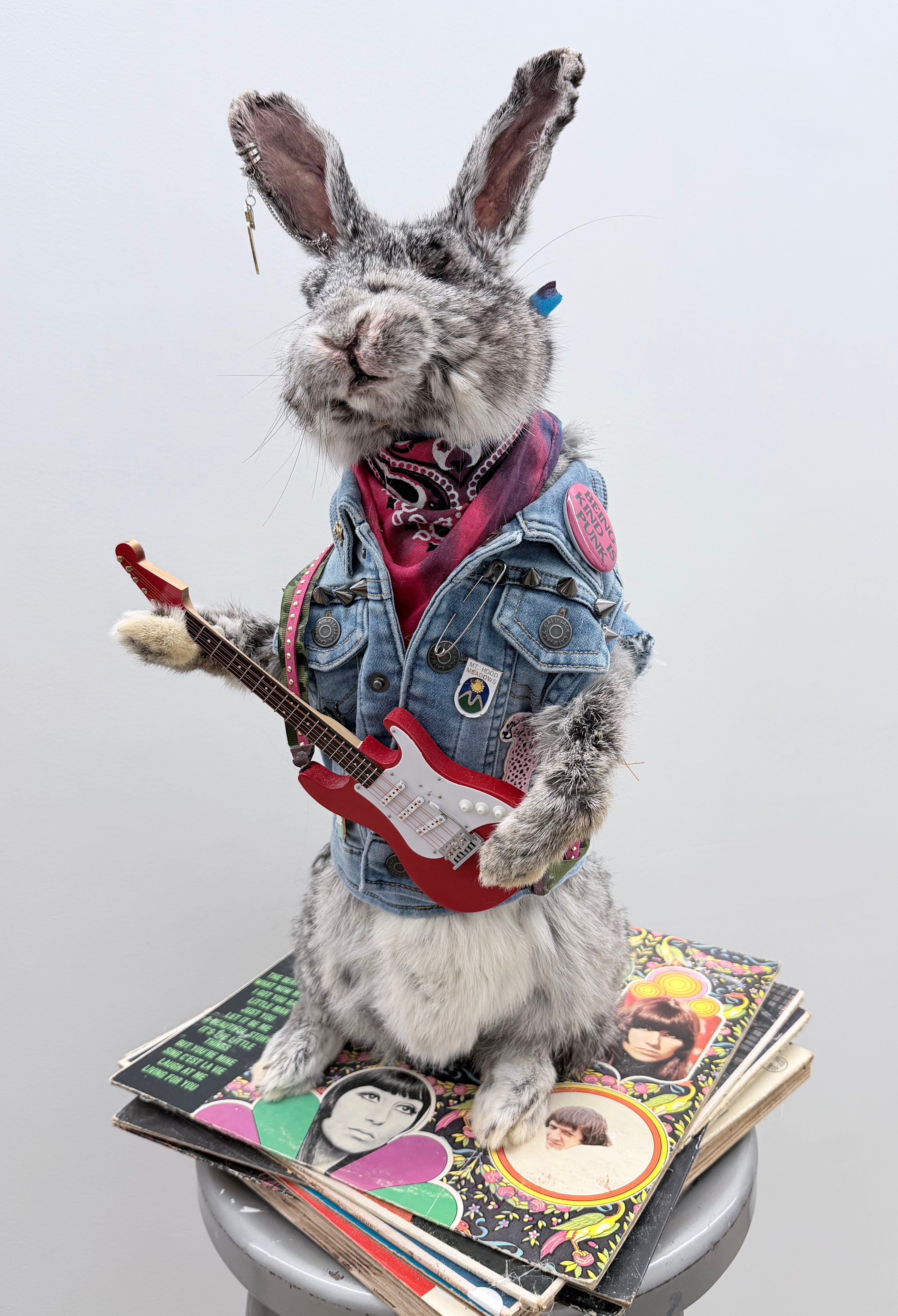 Skippy The Rocker Rabbit