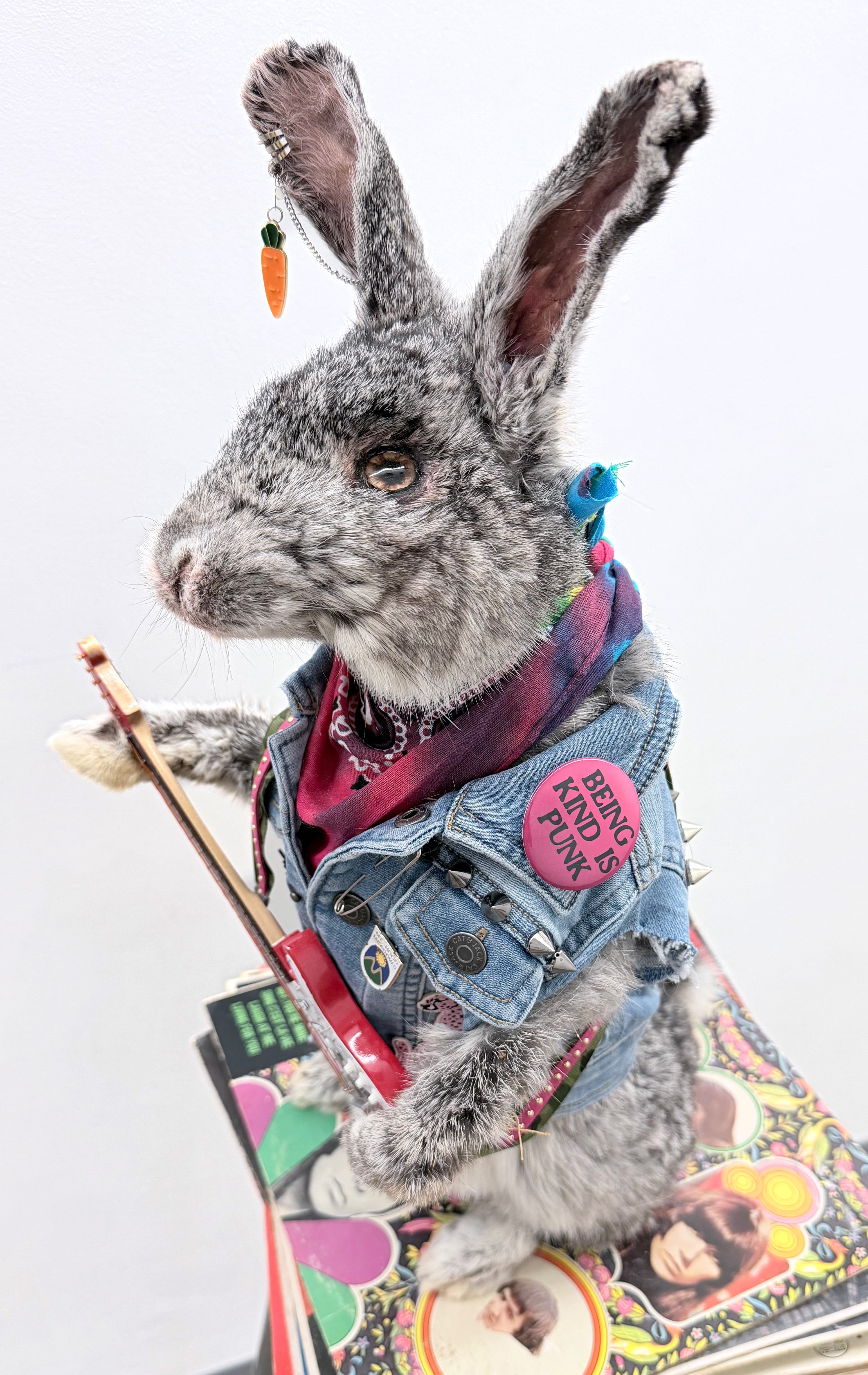 Skippy The Rocker Rabbit