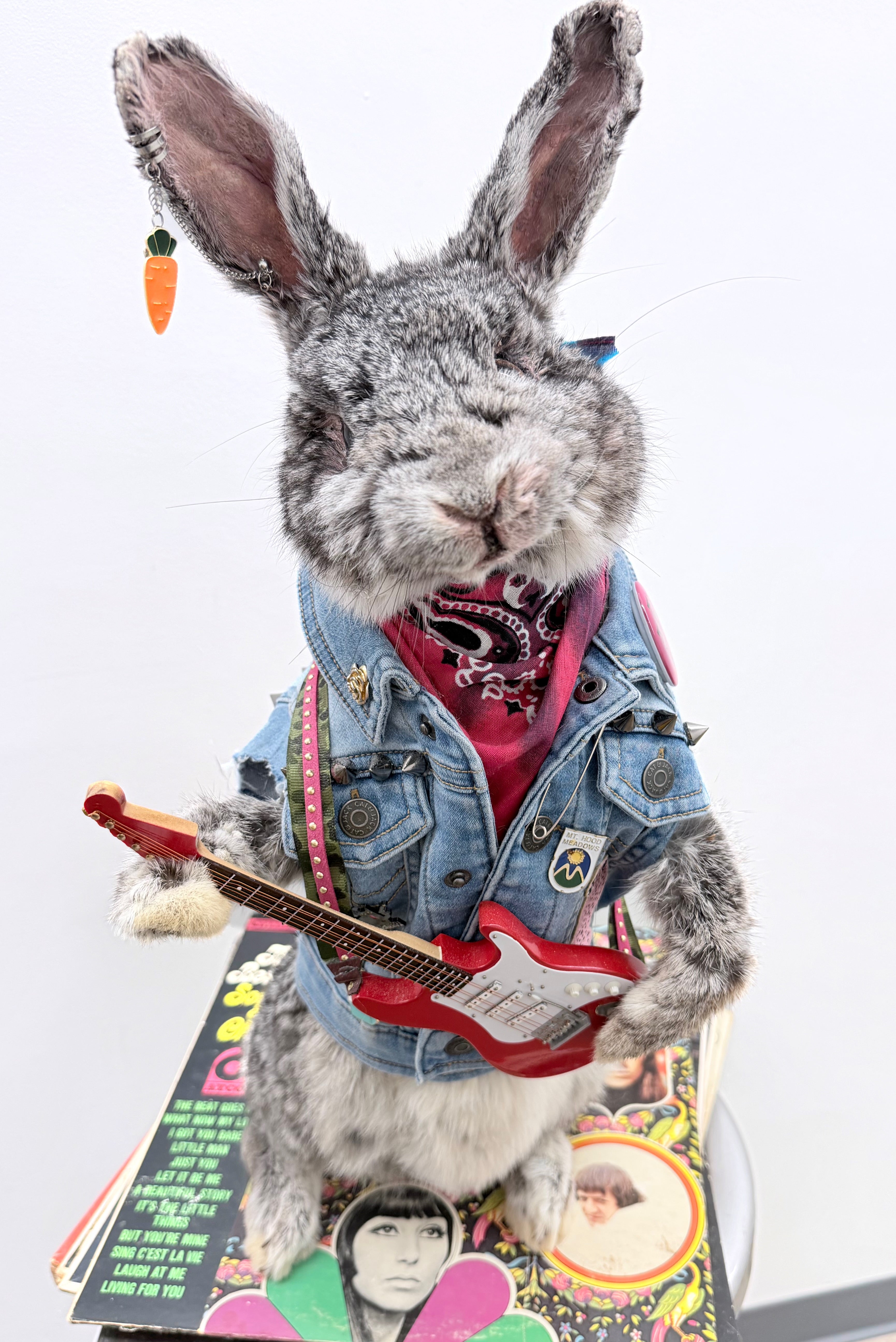 Skippy The Rocker Rabbit