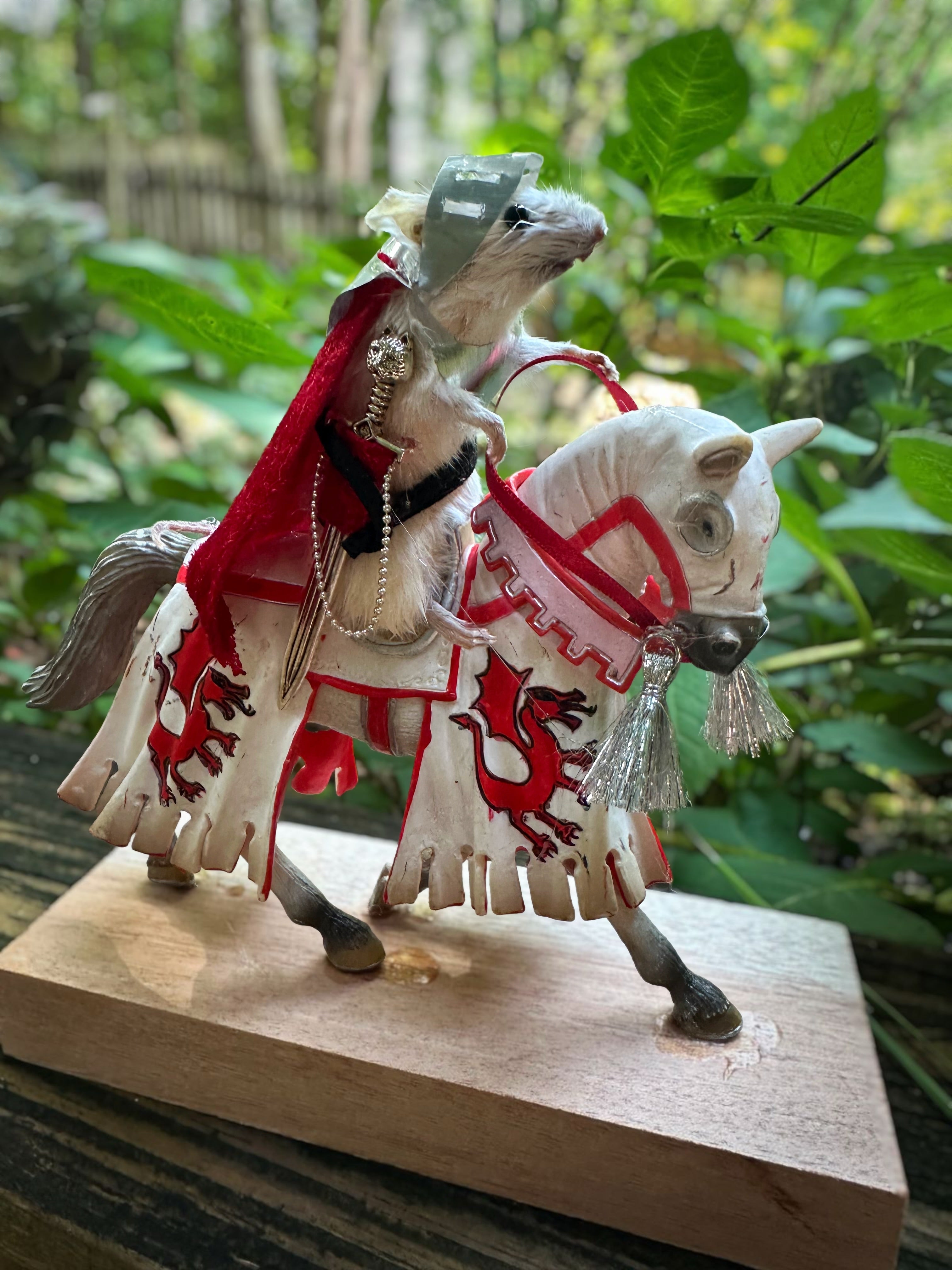 Perfection & Oddities