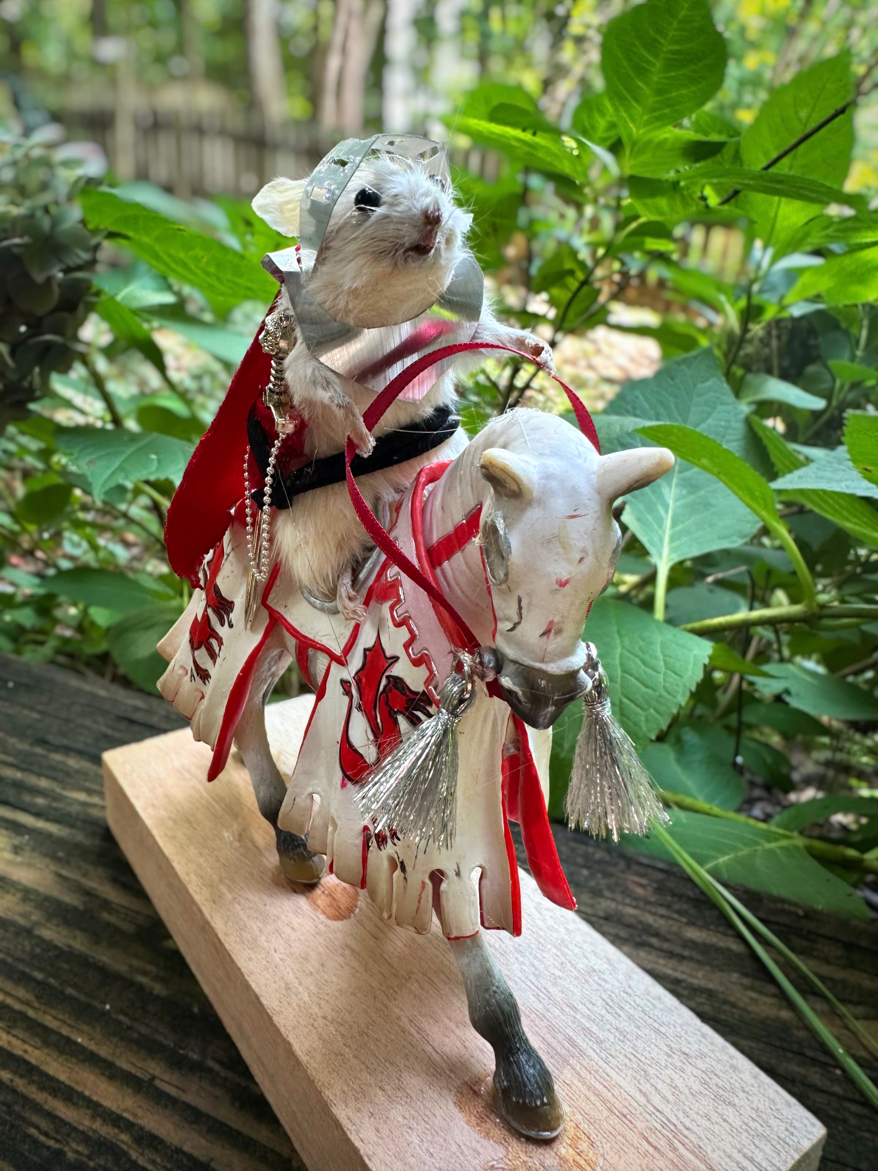 Perfection & Oddities