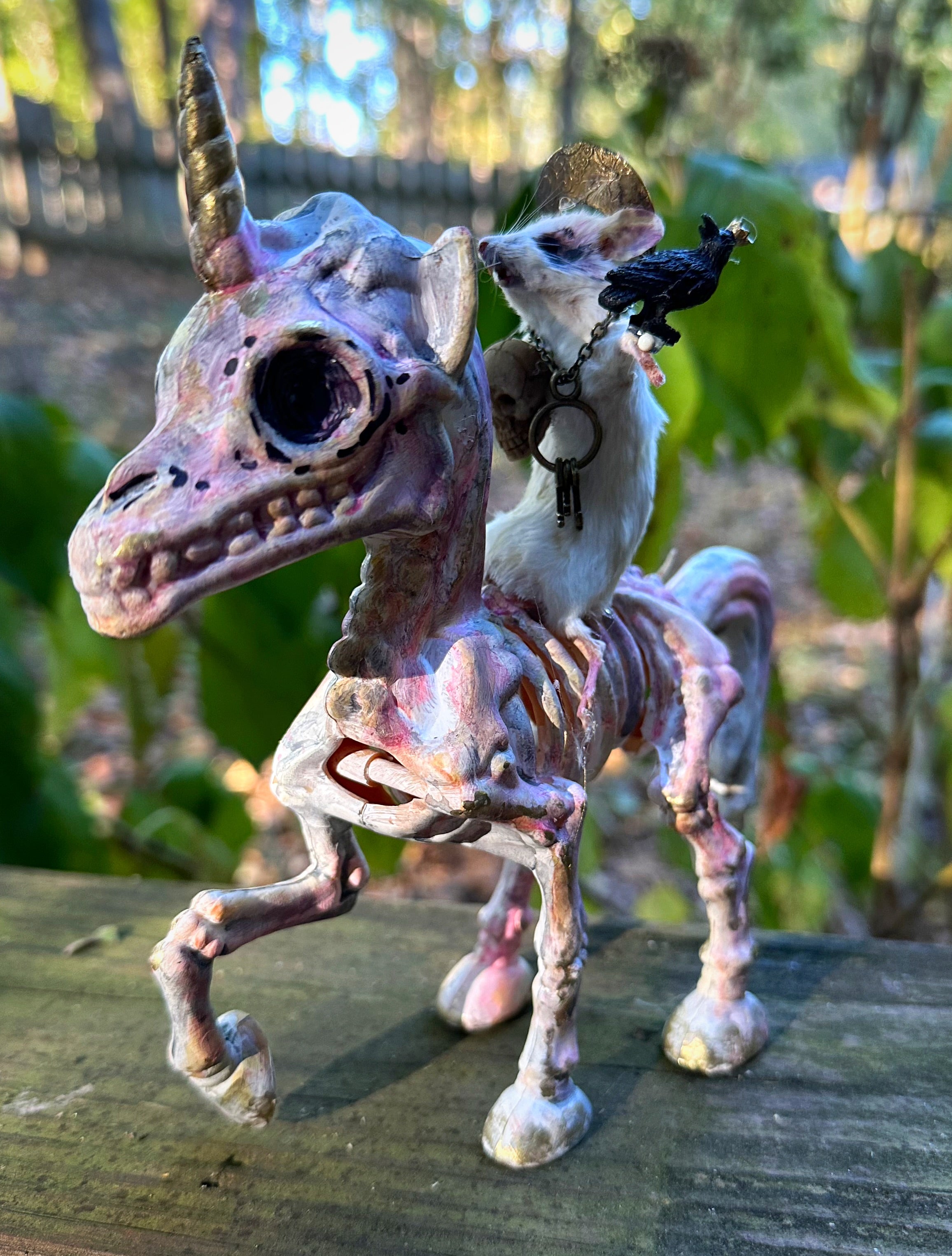 Perfection & Oddities