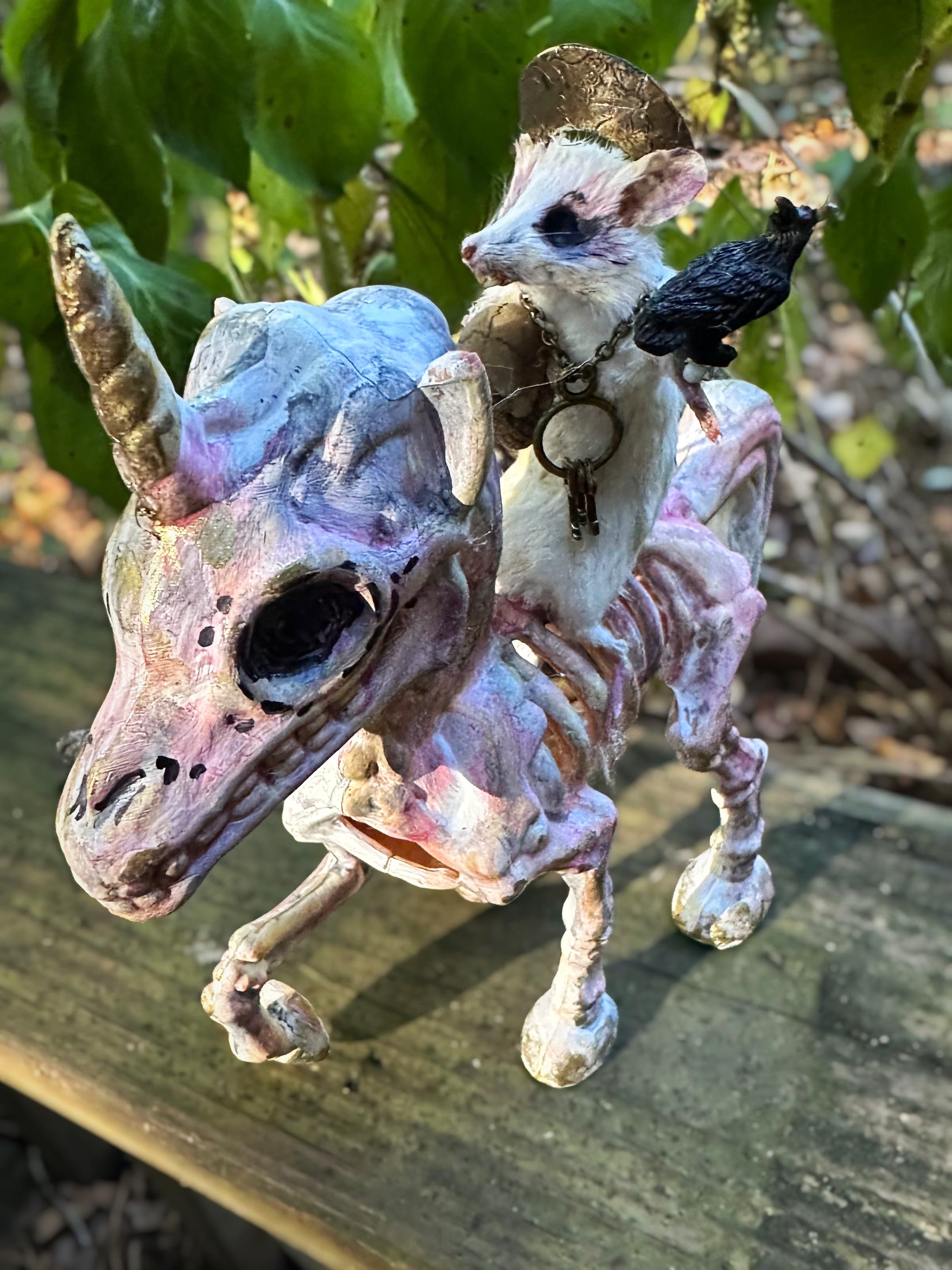 Perfection & Oddities