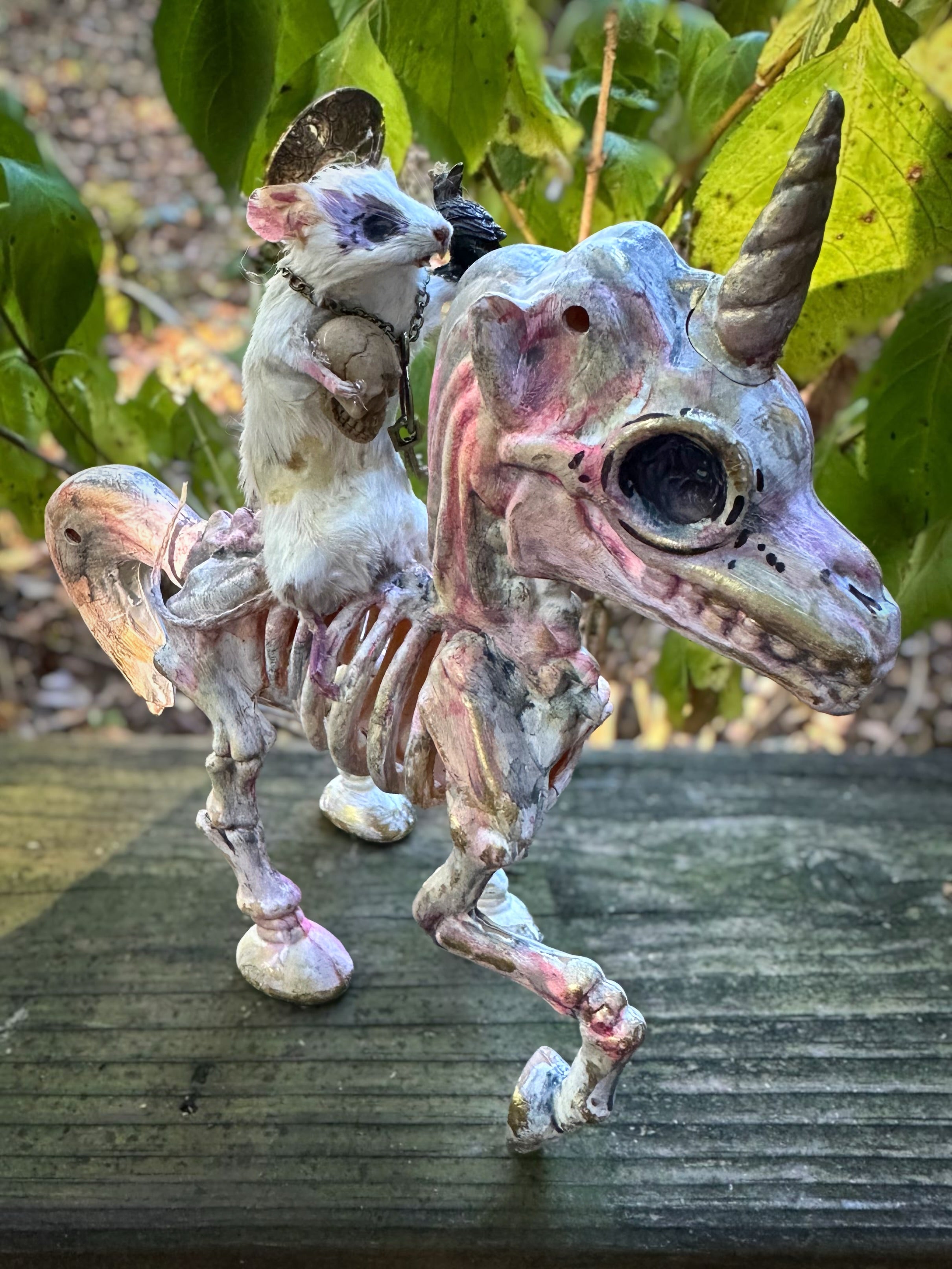 Perfection & Oddities