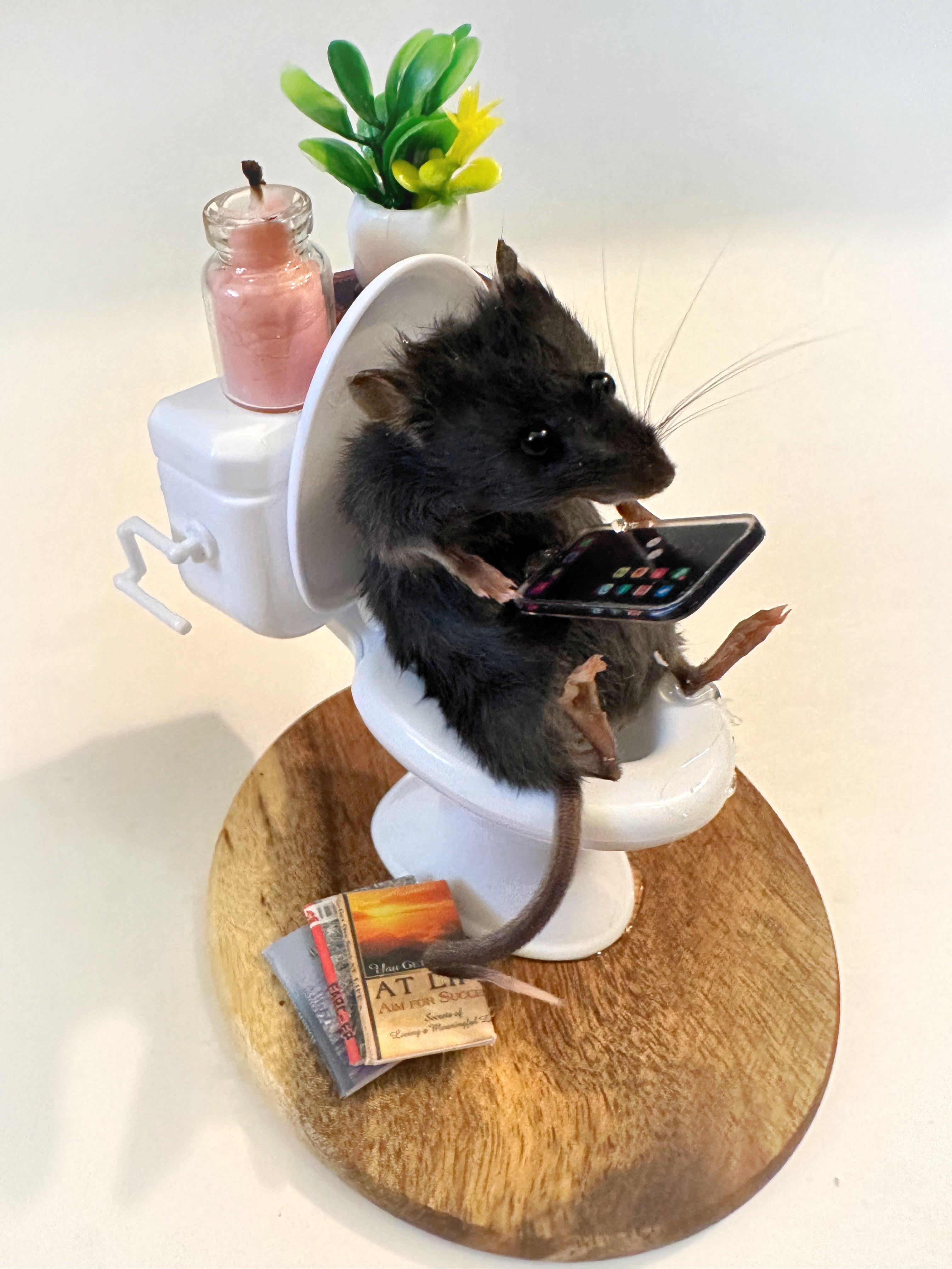 Perfection & Oddities