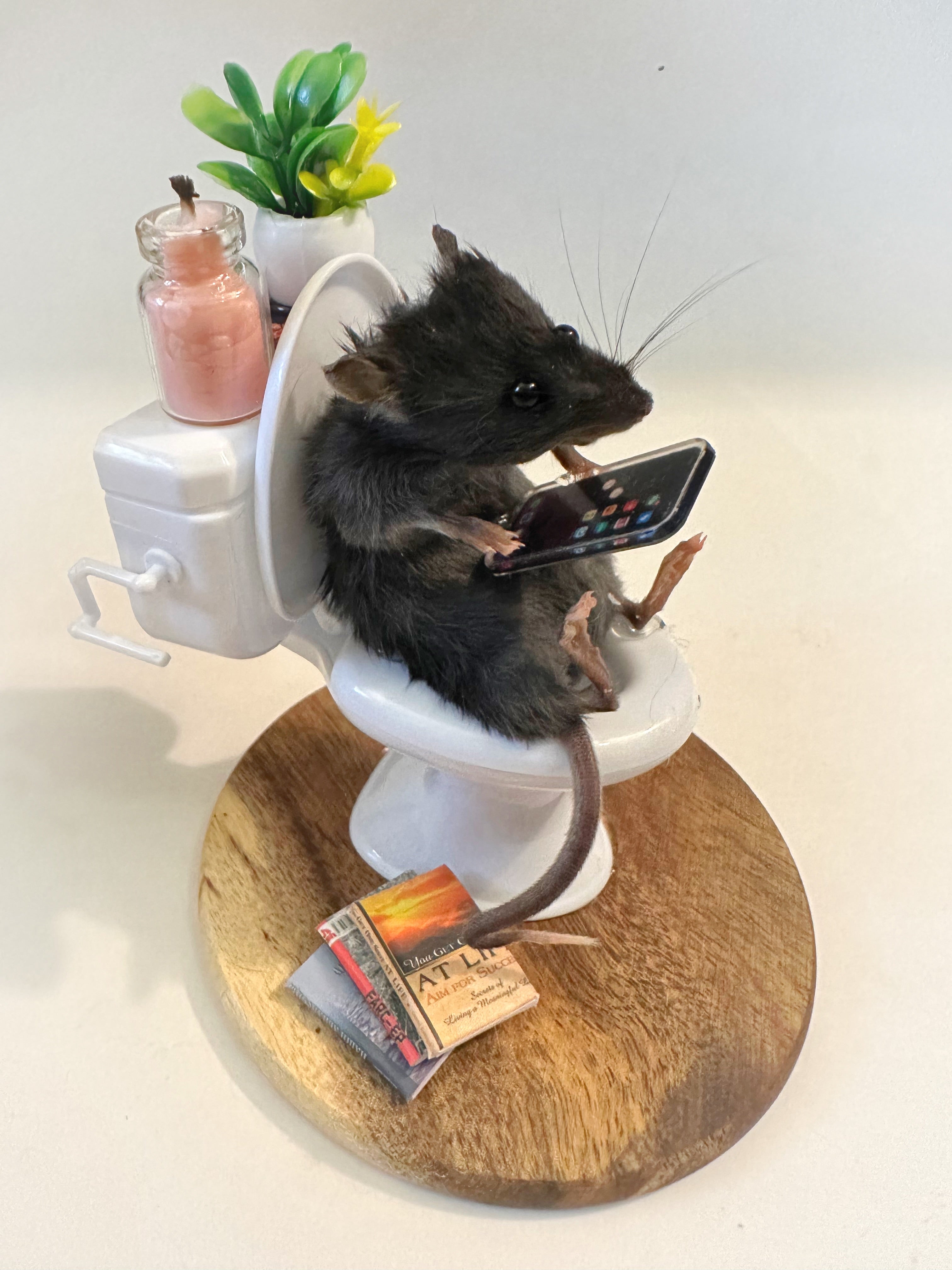 Perfection & Oddities