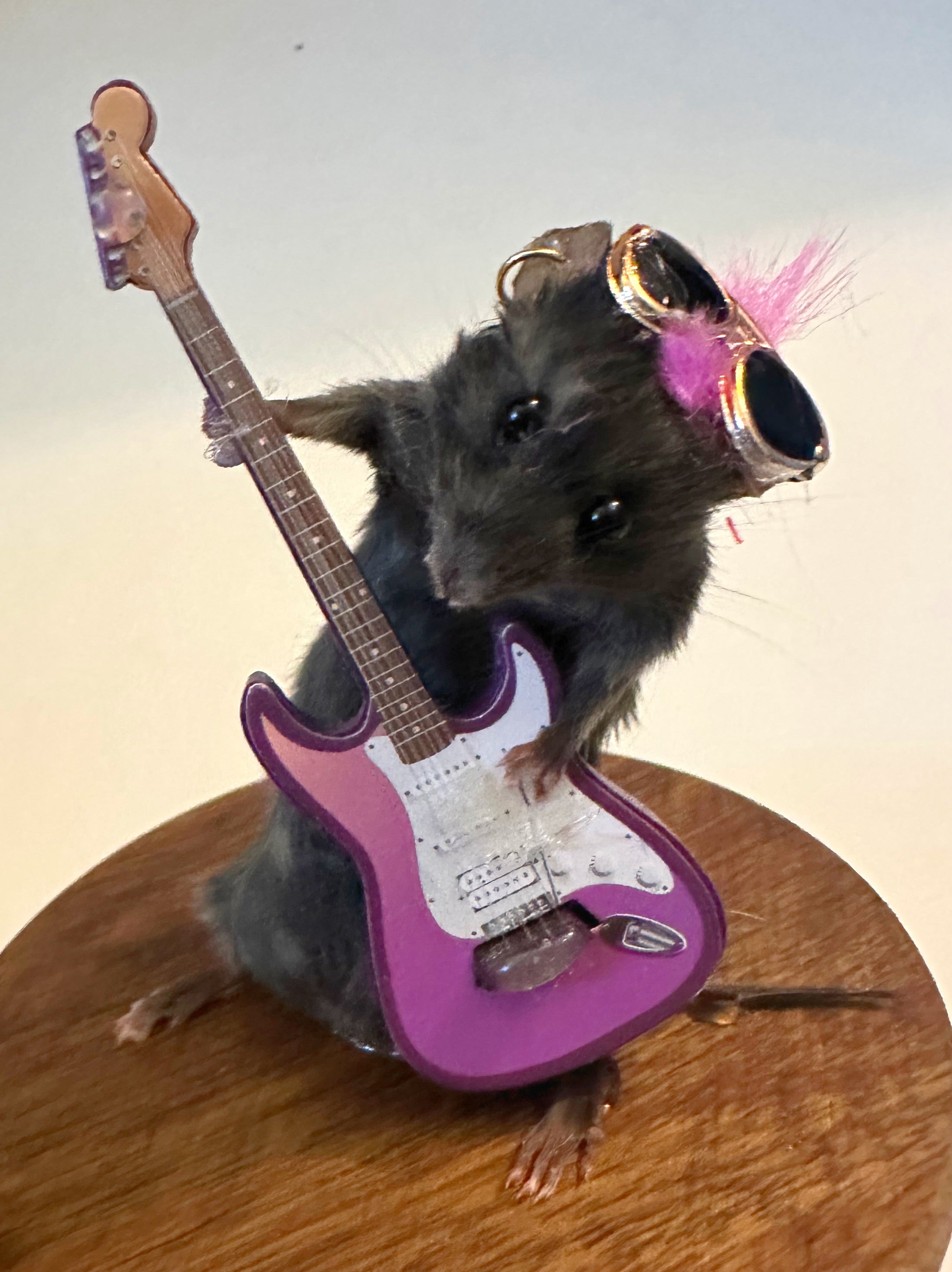 Perfection & Oddities