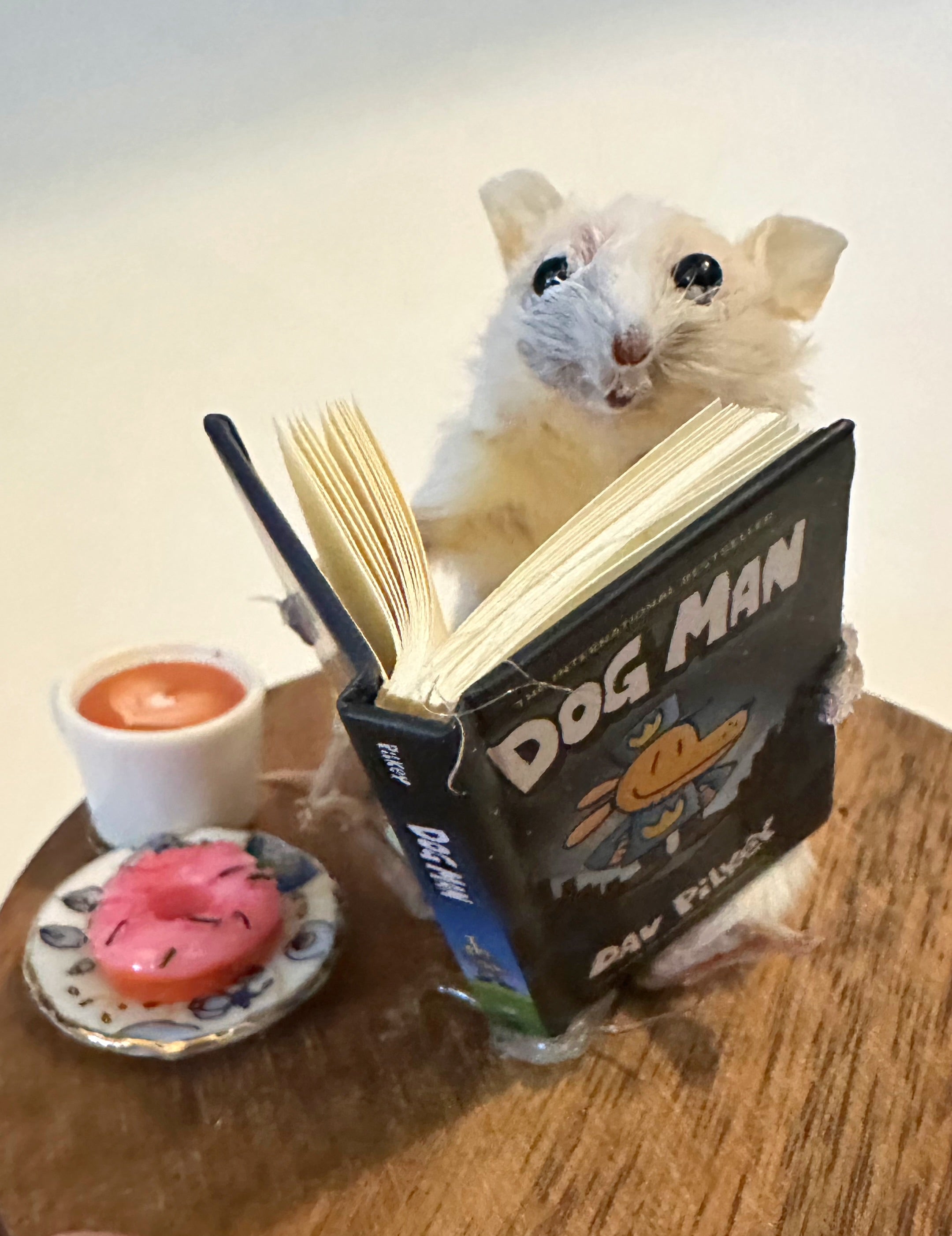 Perfection & Oddities