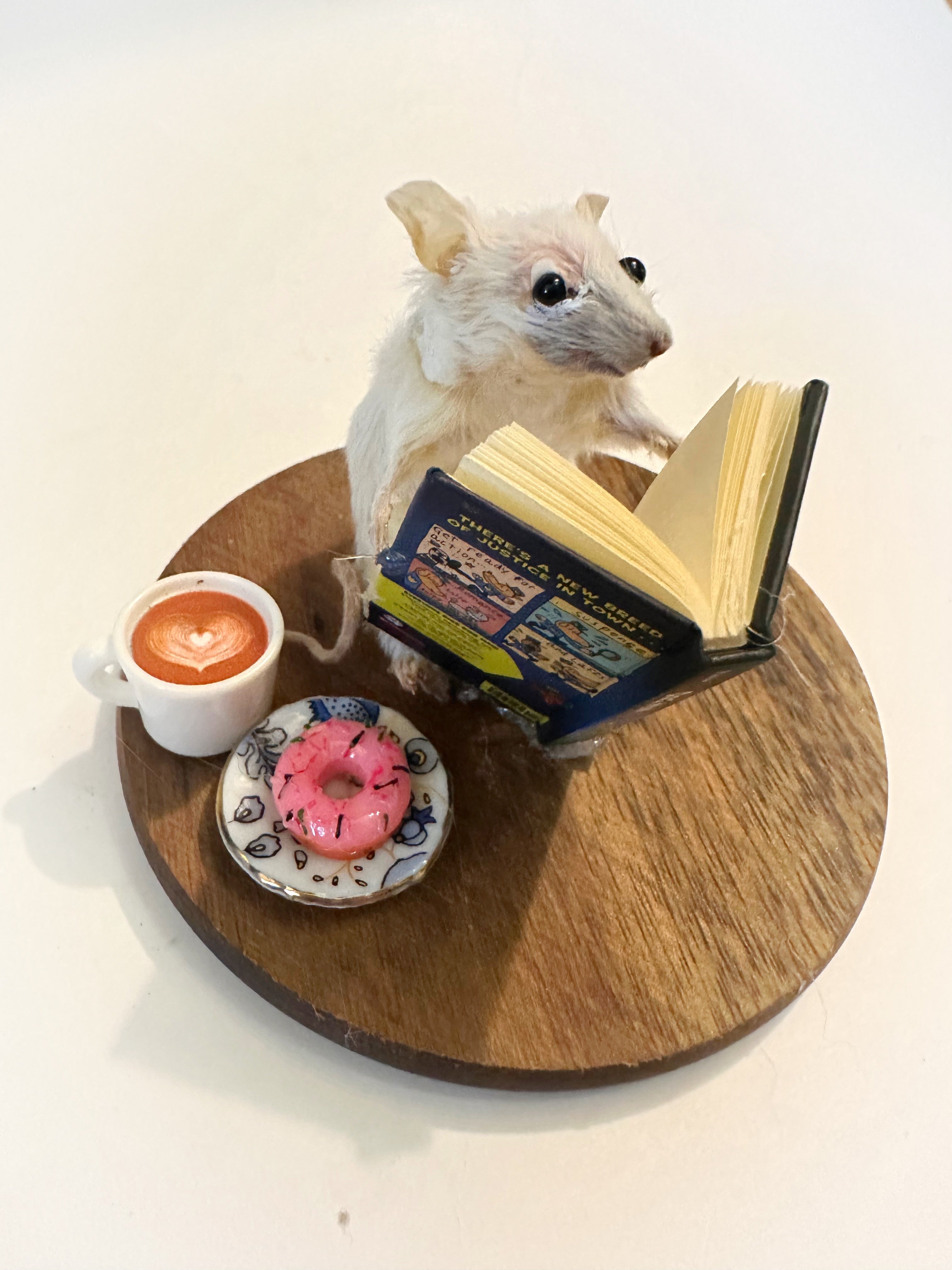 Perfection & Oddities