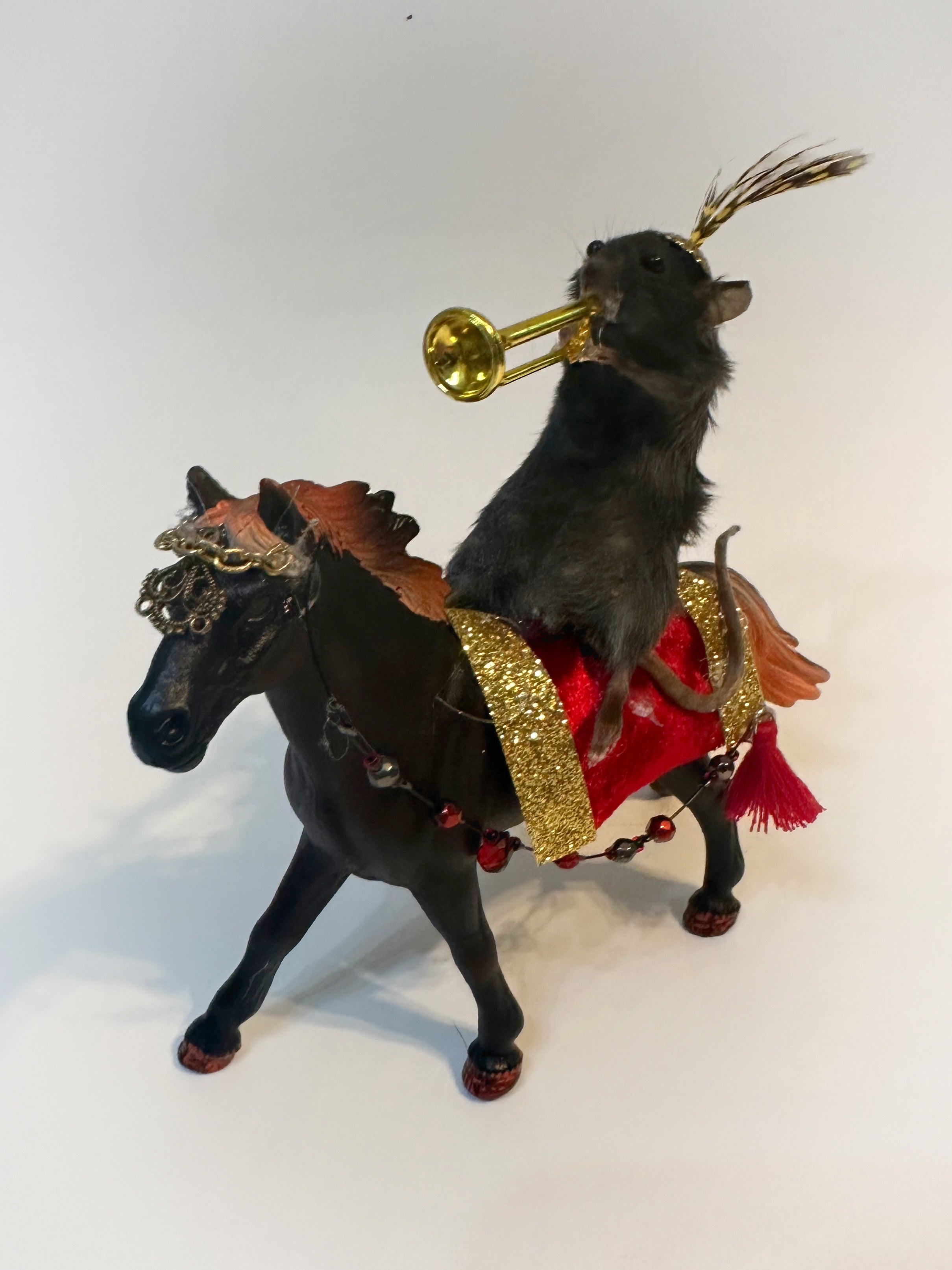 Perfection & Oddities