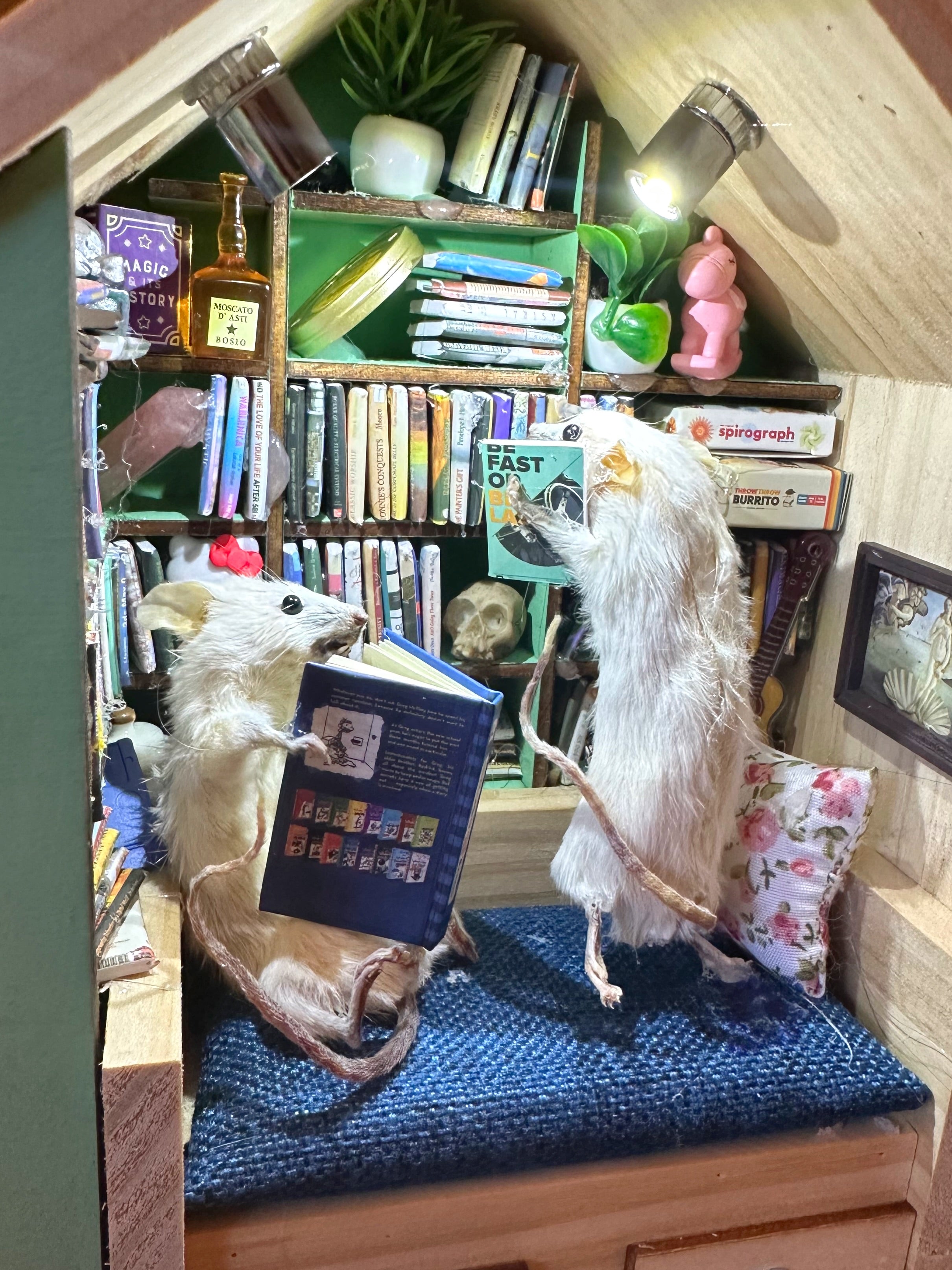 Perfection & Oddities