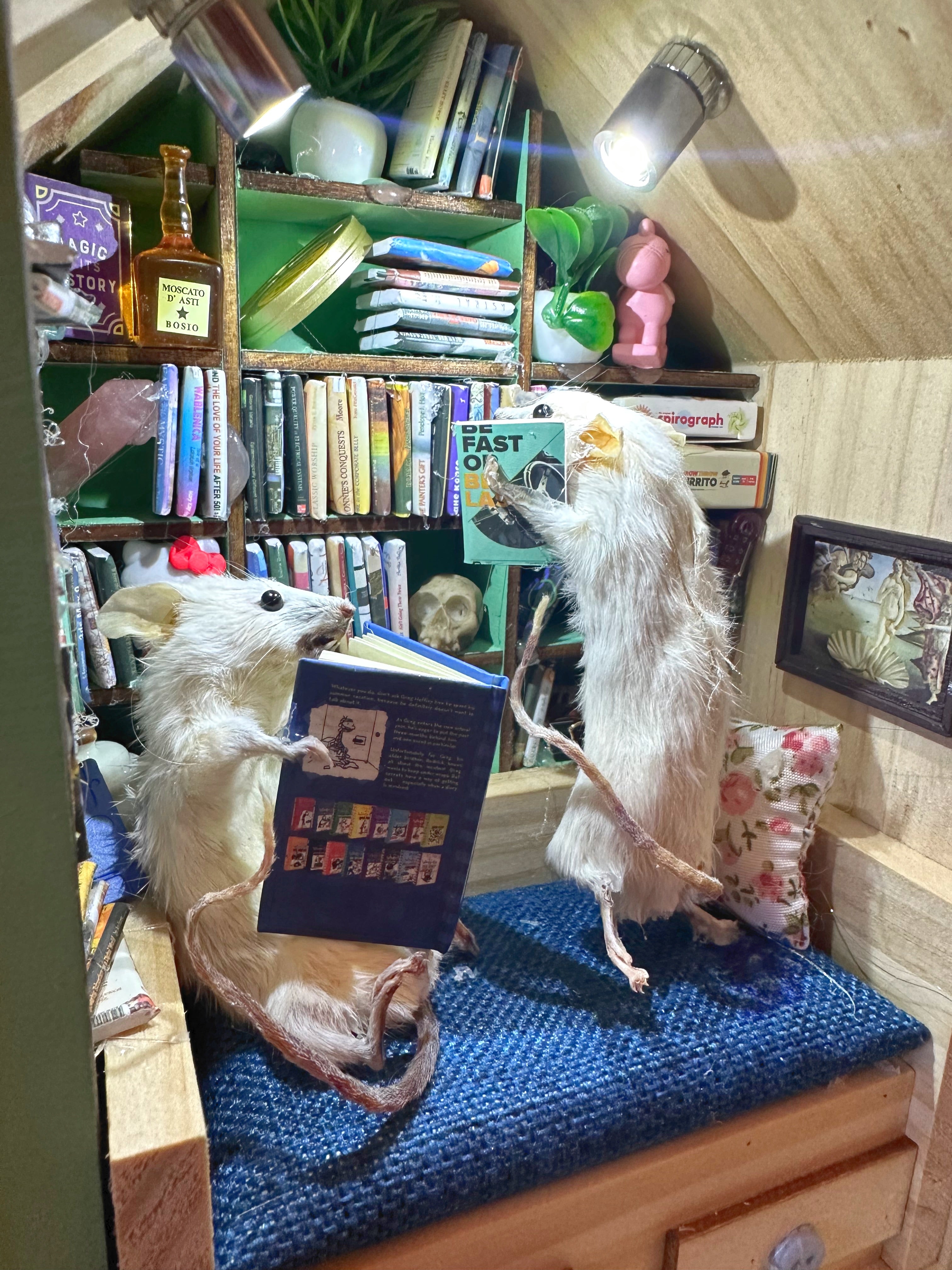 Perfection & Oddities