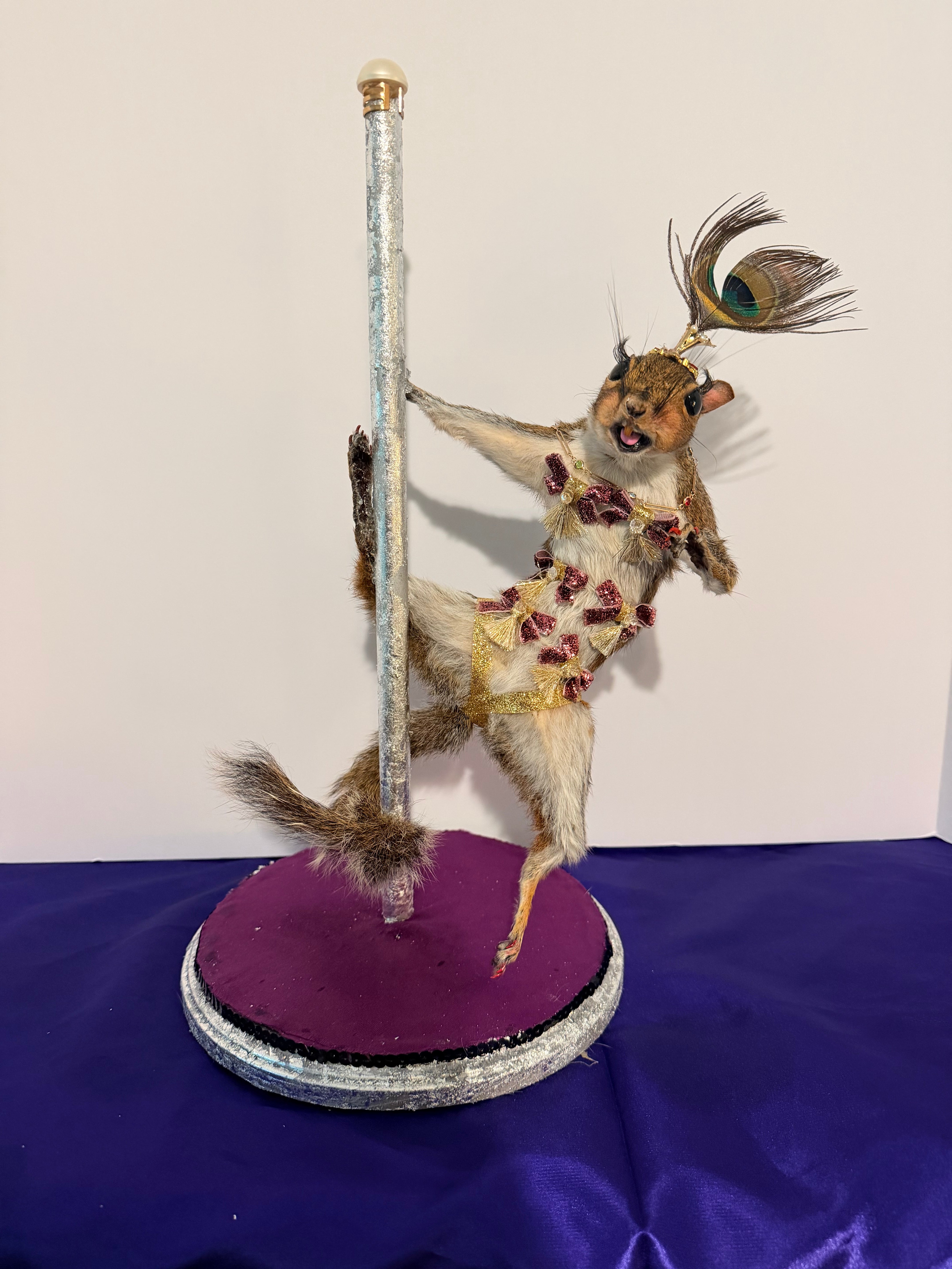 Burlesque Squirrel